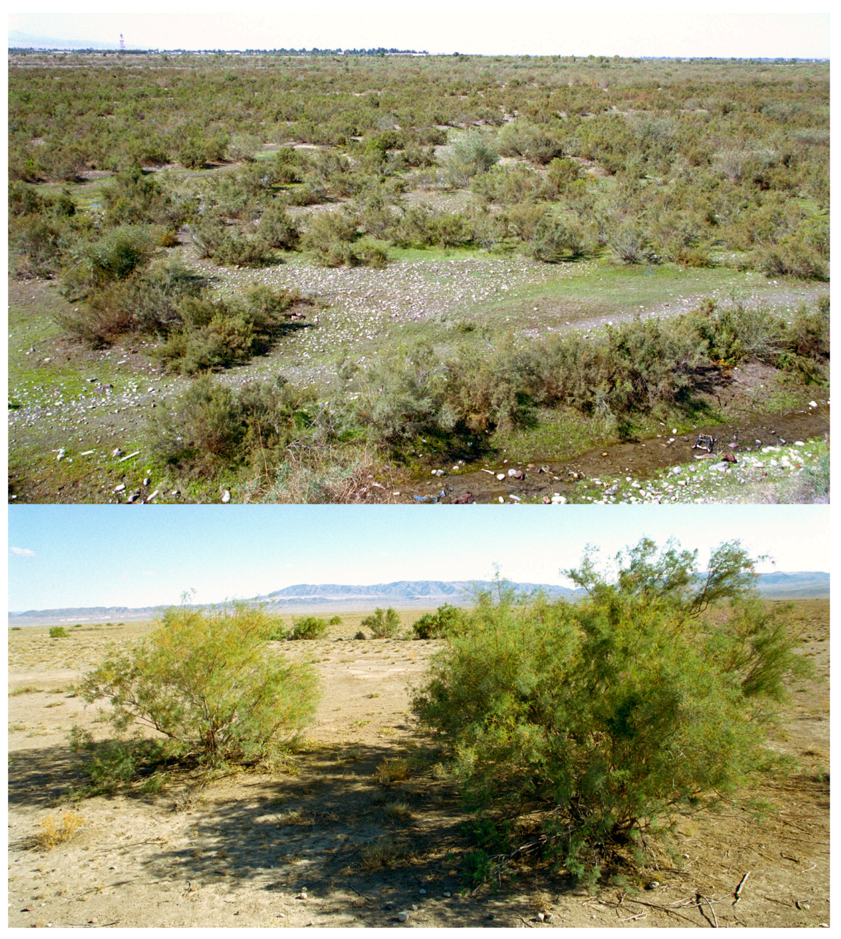 Preprints 190943 g002