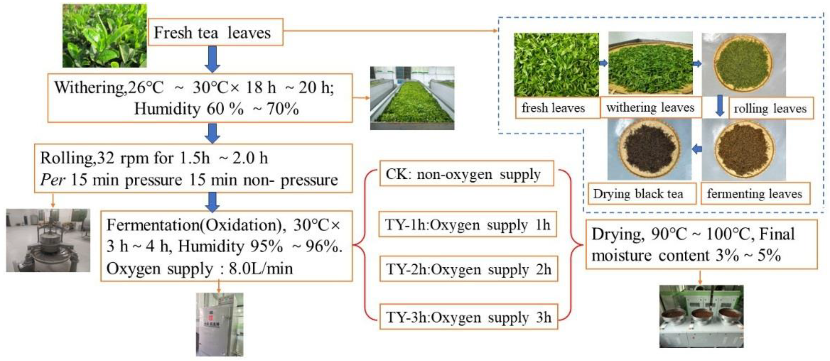Preprints 165152 g001