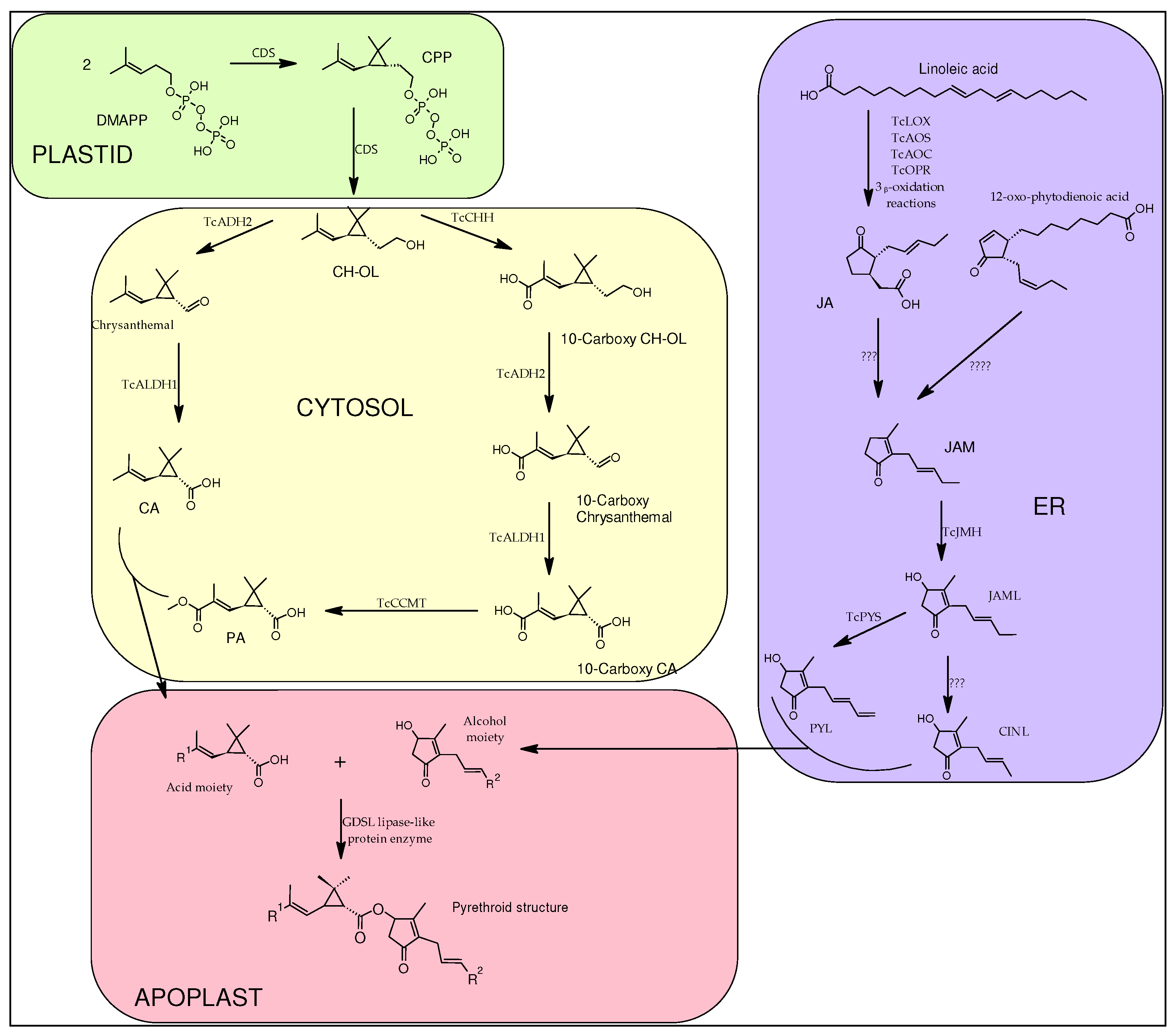 Preprints 89489 g003