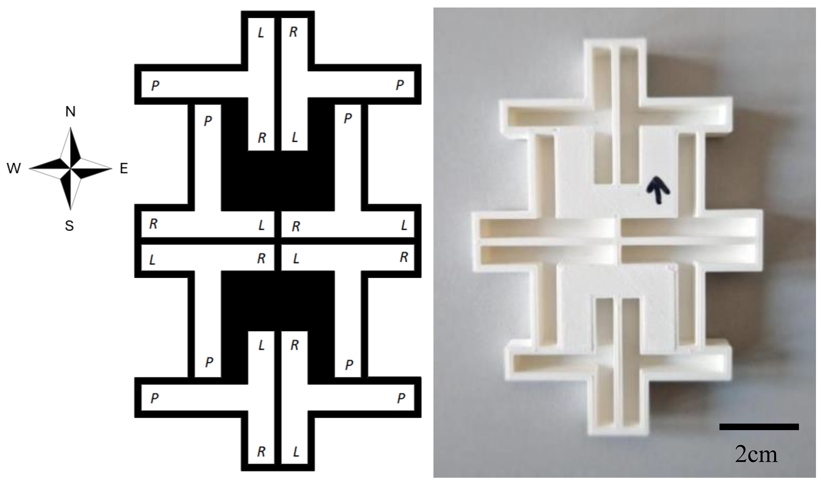 Preprints 156266 g002