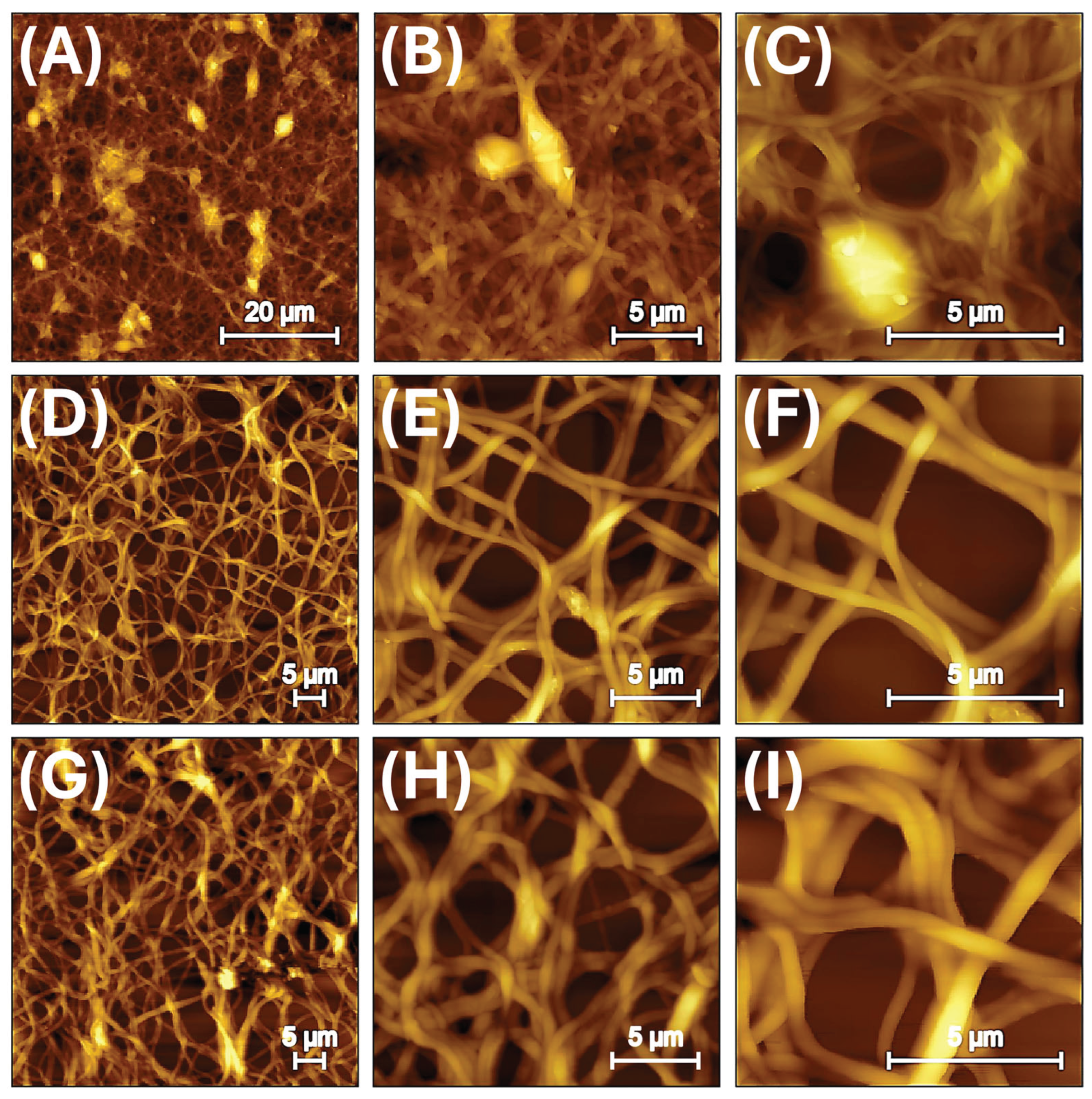Preprints 166261 g002
