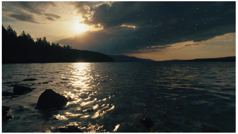 Preprints 145172 i008