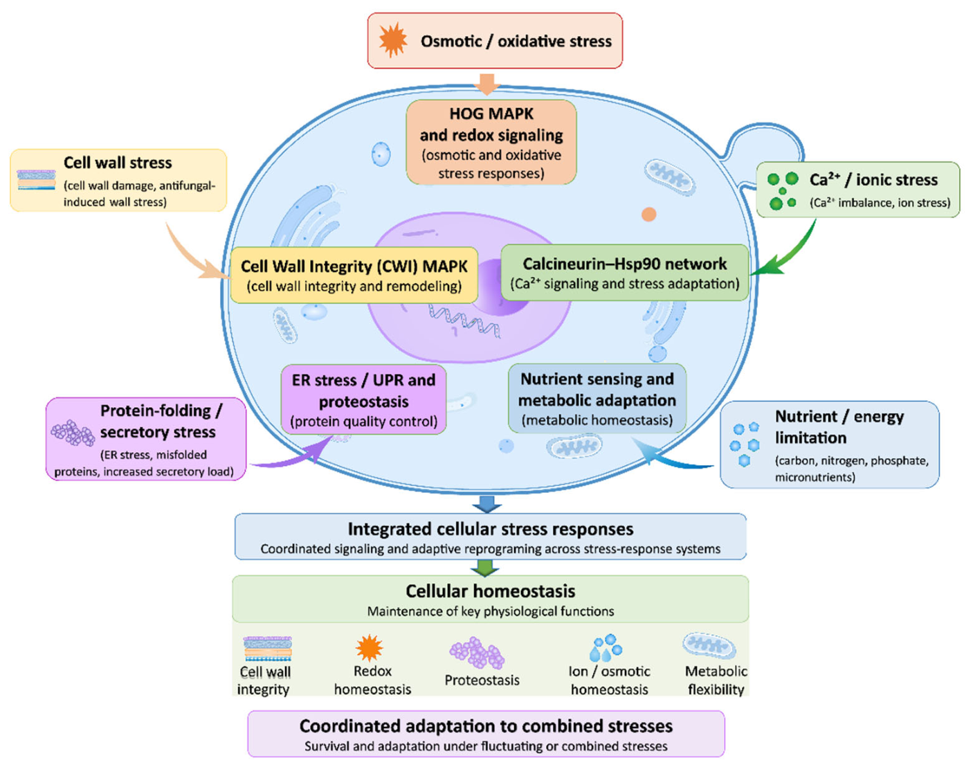 Preprints 236162 g003 Preprints 236162 g003