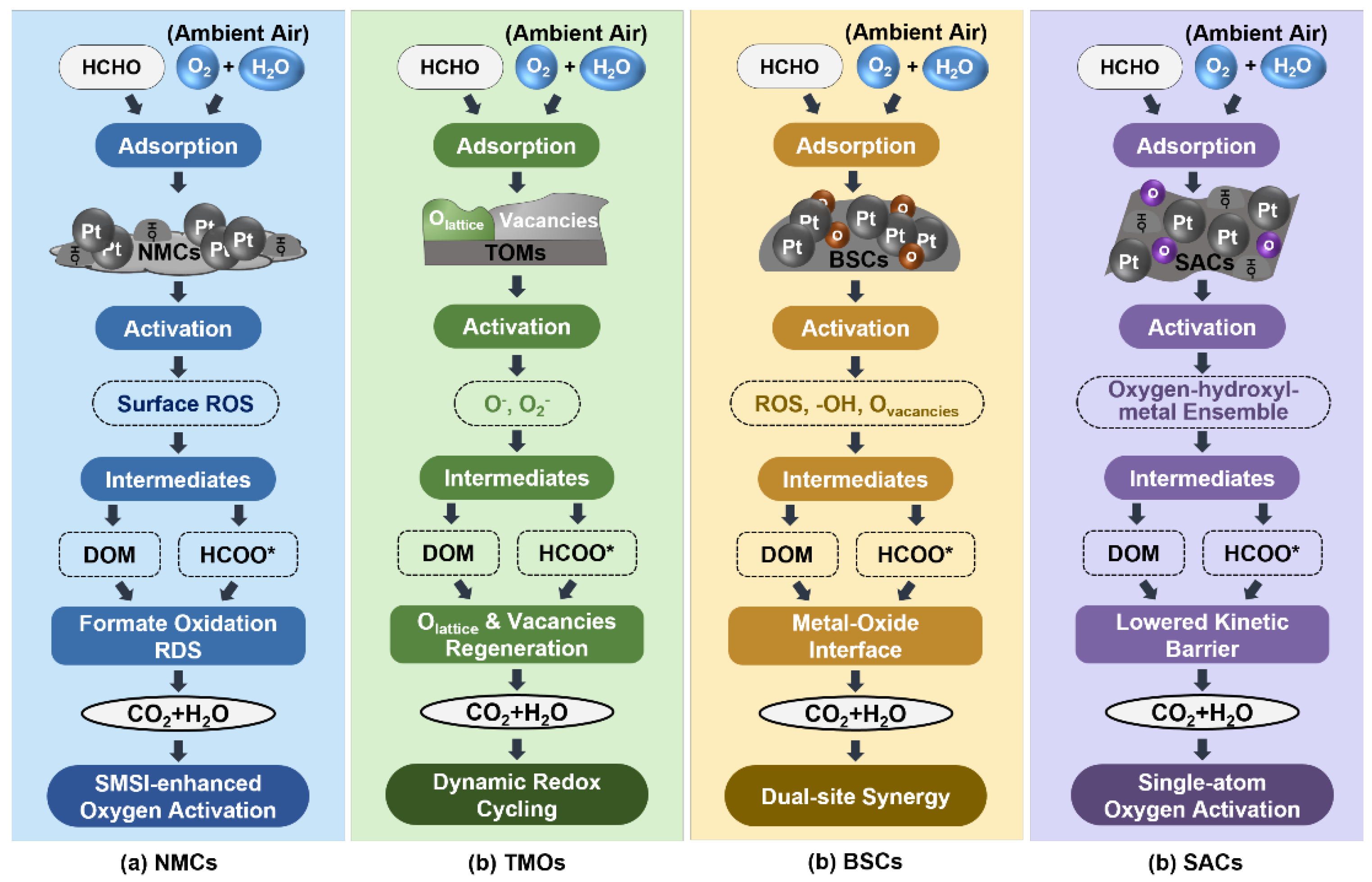 Preprints 199697 g001