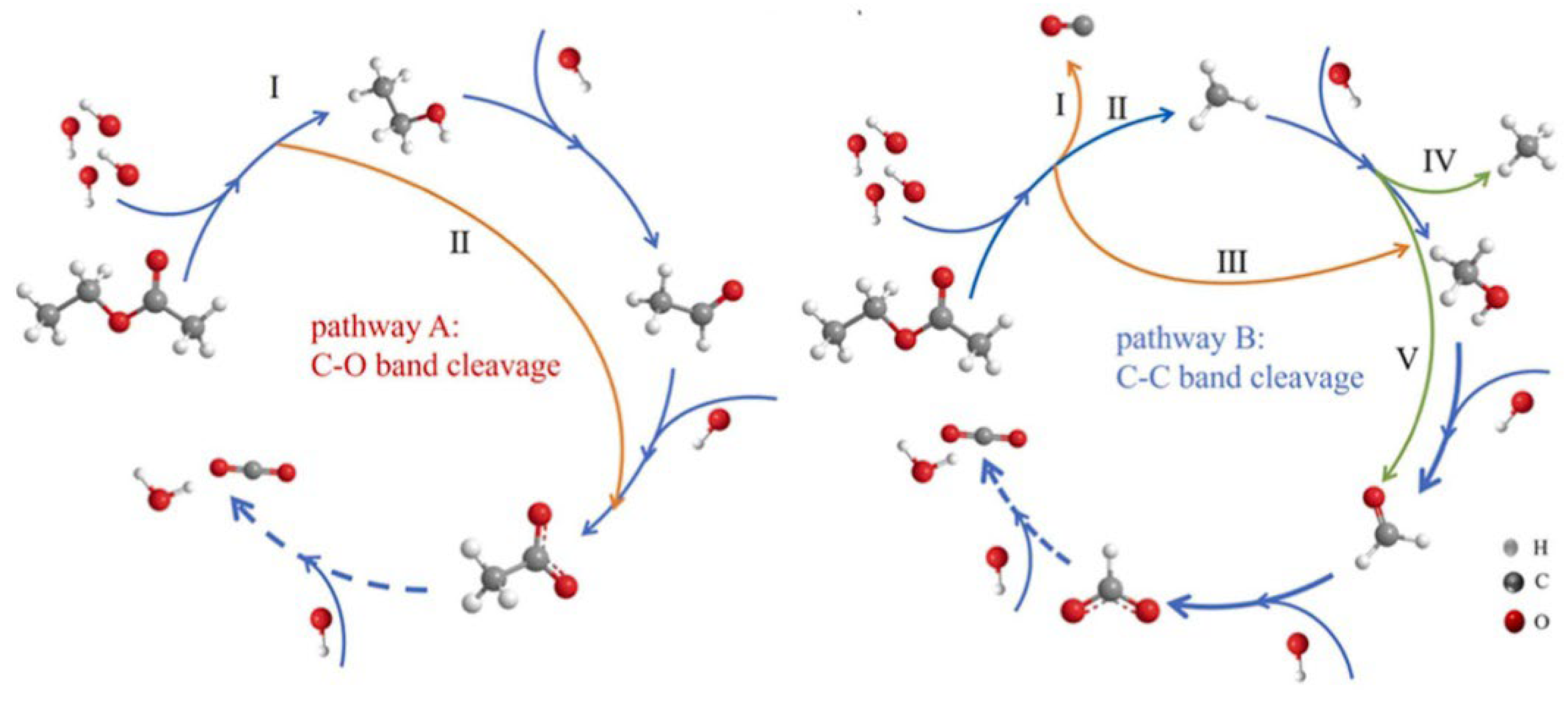 Preprints 199697 g003
