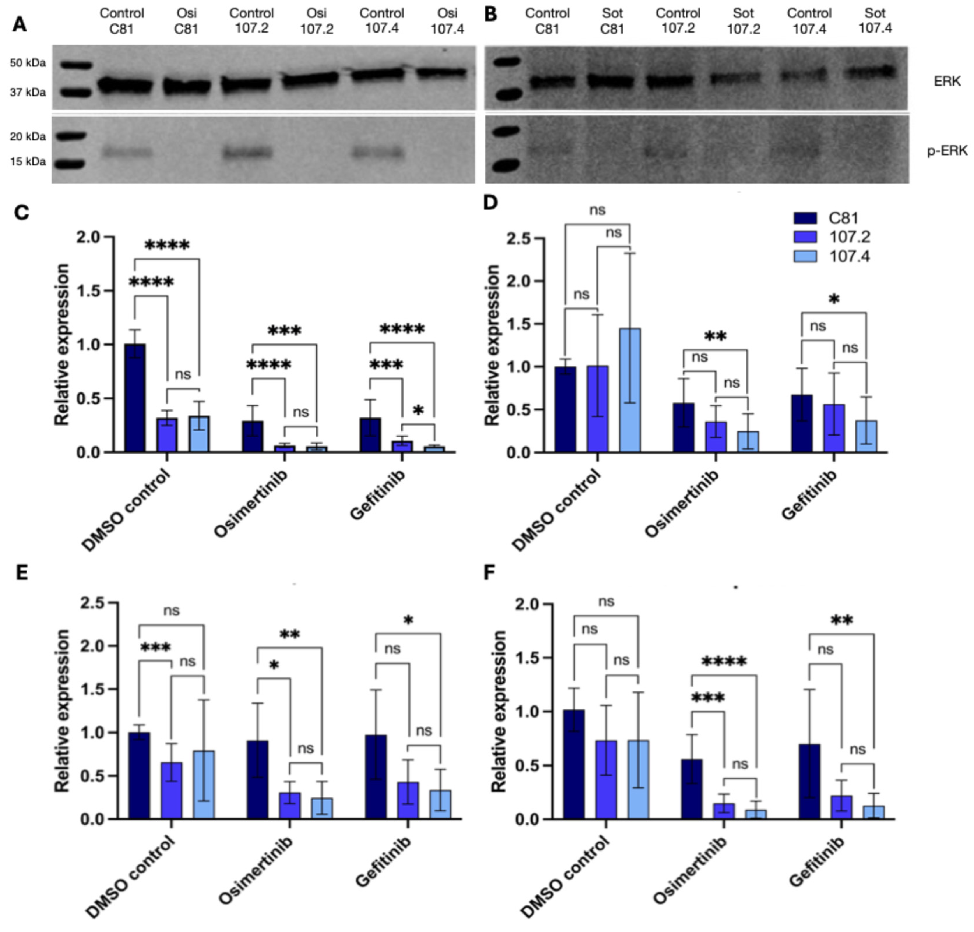 Preprints 196158 g003