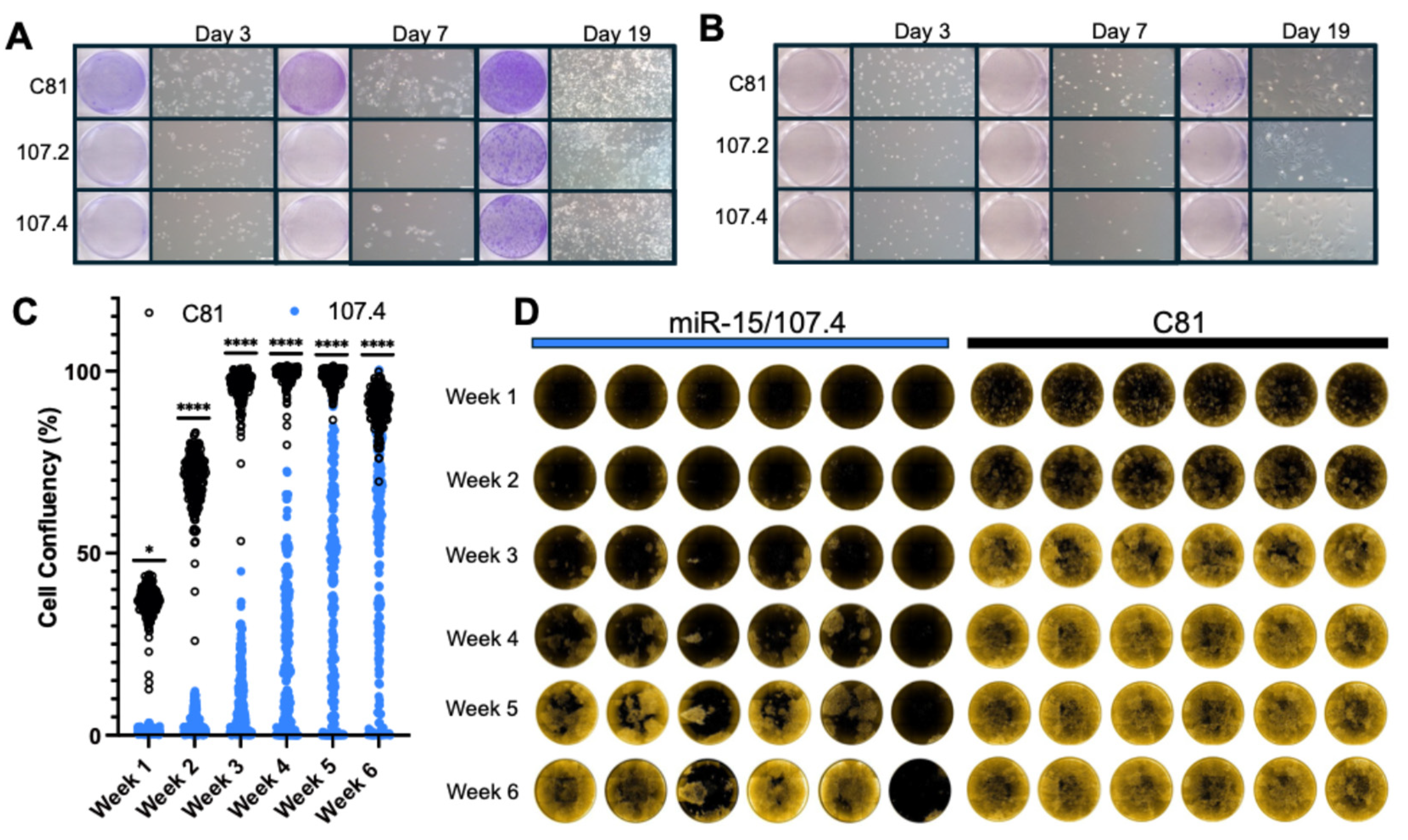 Preprints 196158 g004