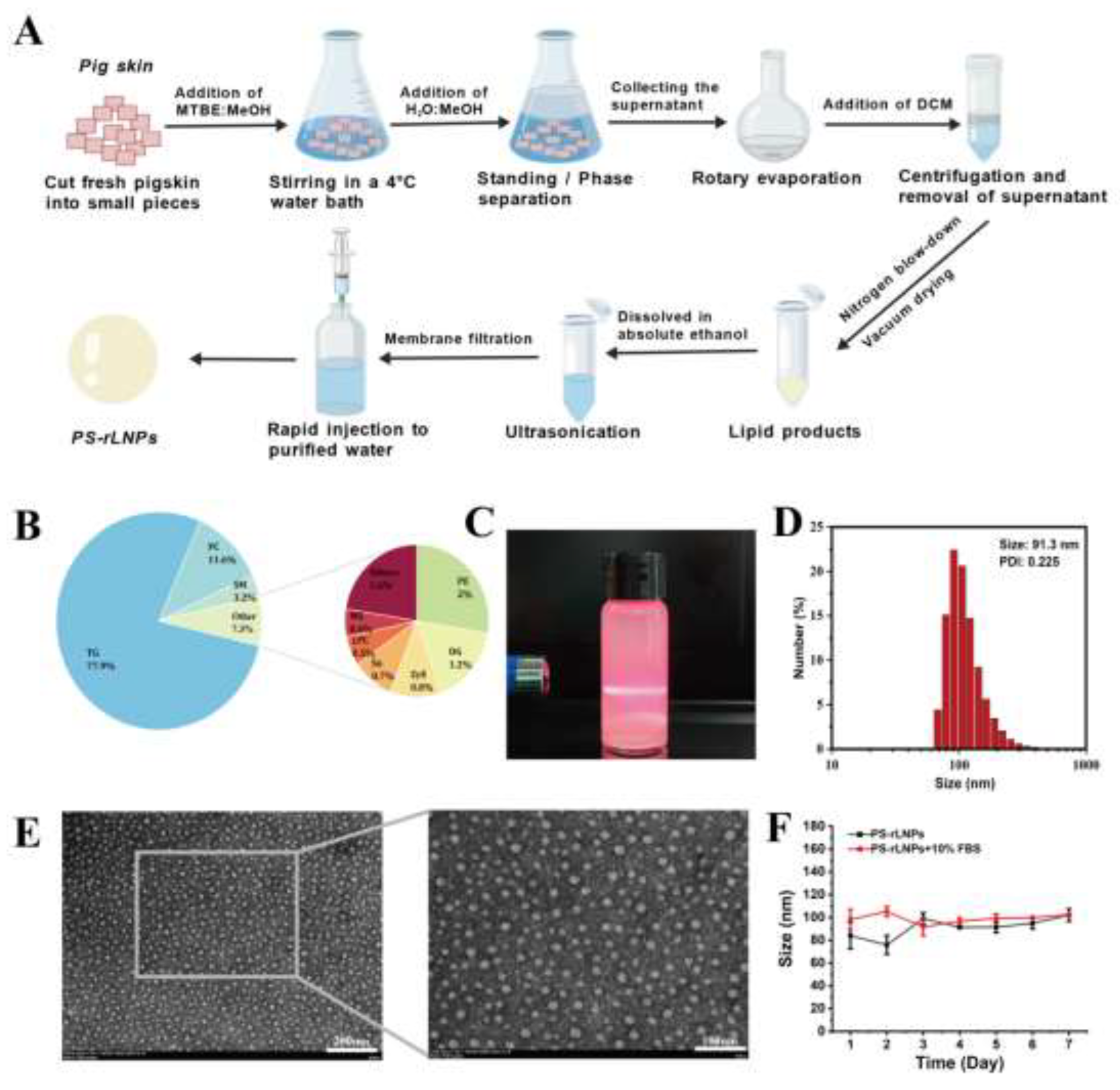 Preprints 199376 g001