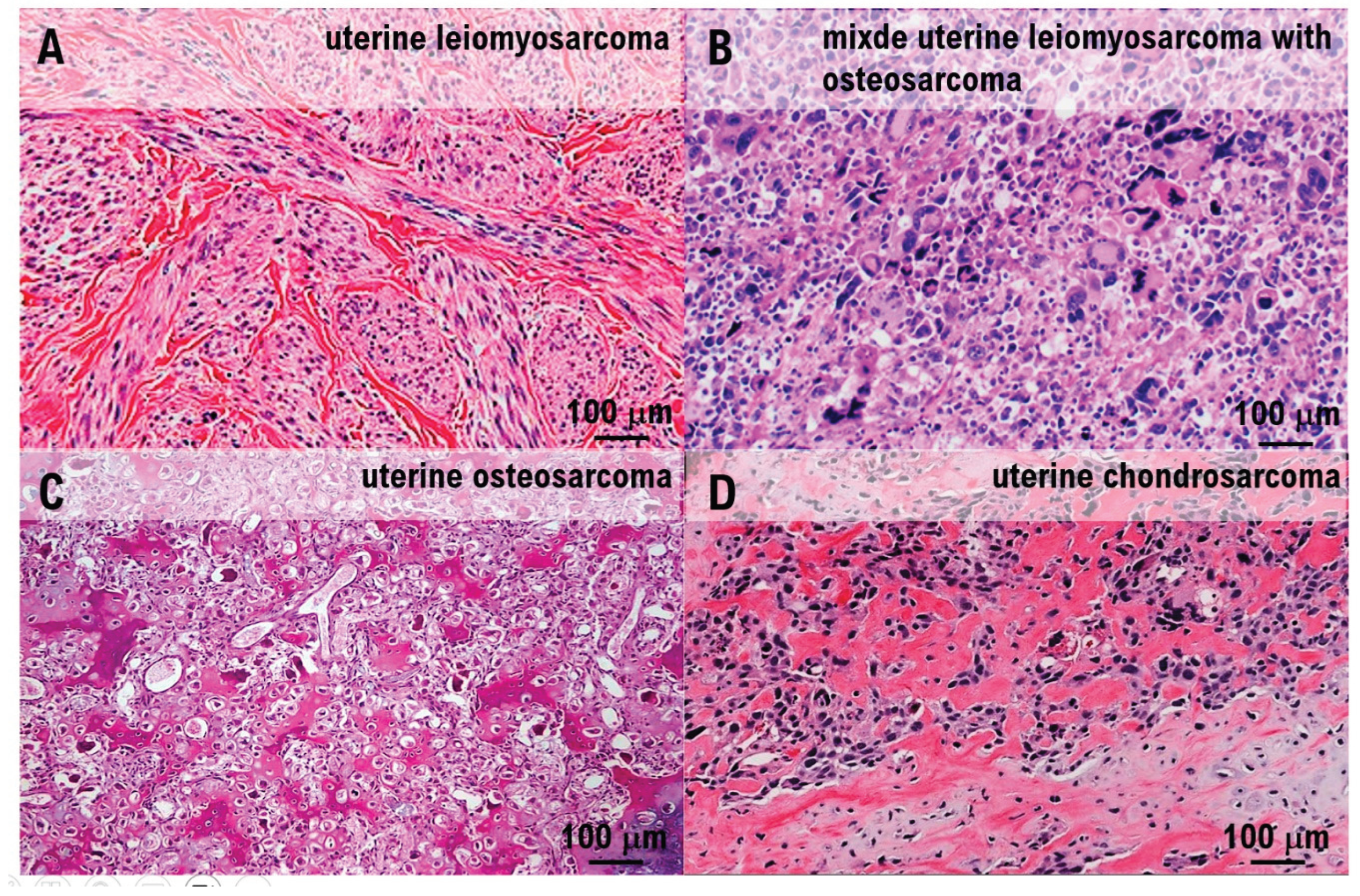 Preprints 187808 g003