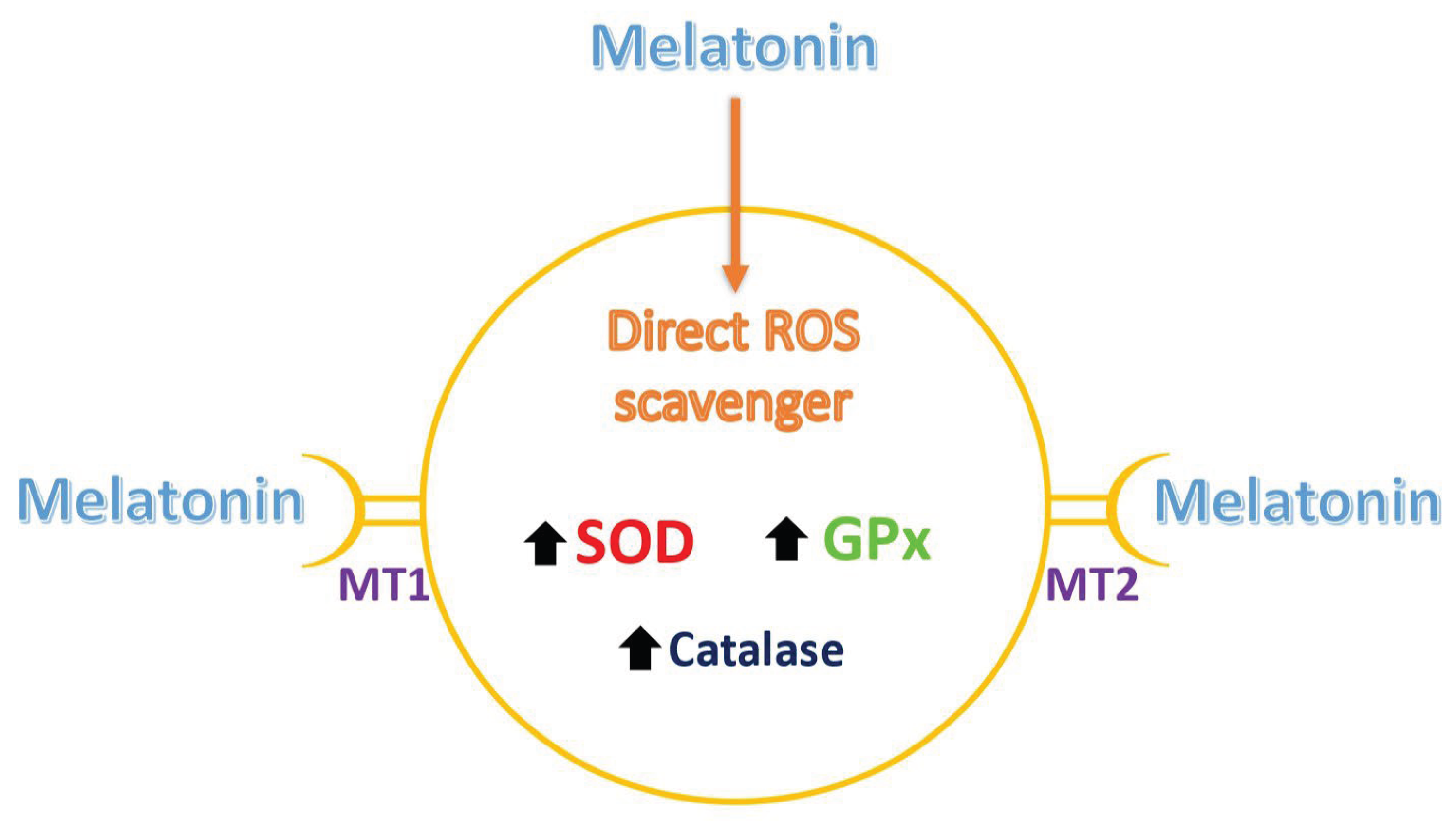 Preprints 173549 g001
