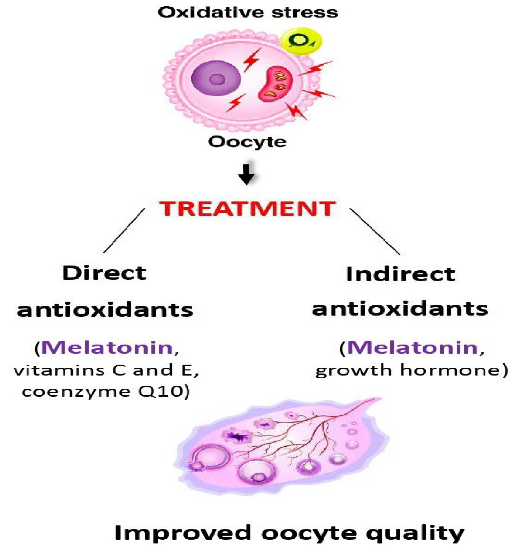 Preprints 173549 g002
