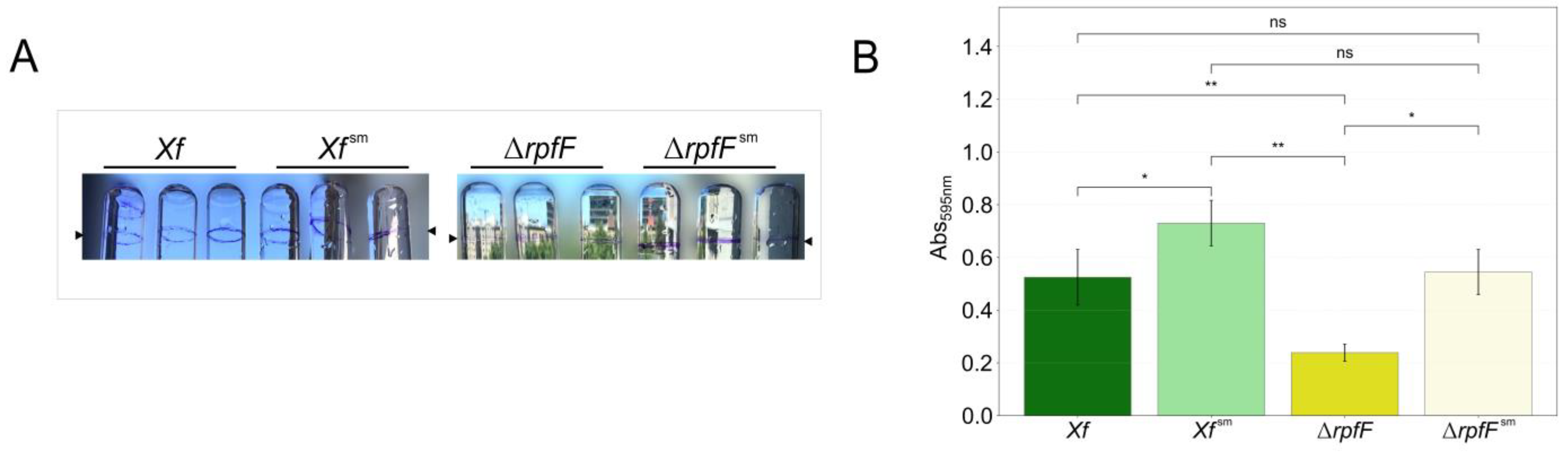 Preprints 92424 g001