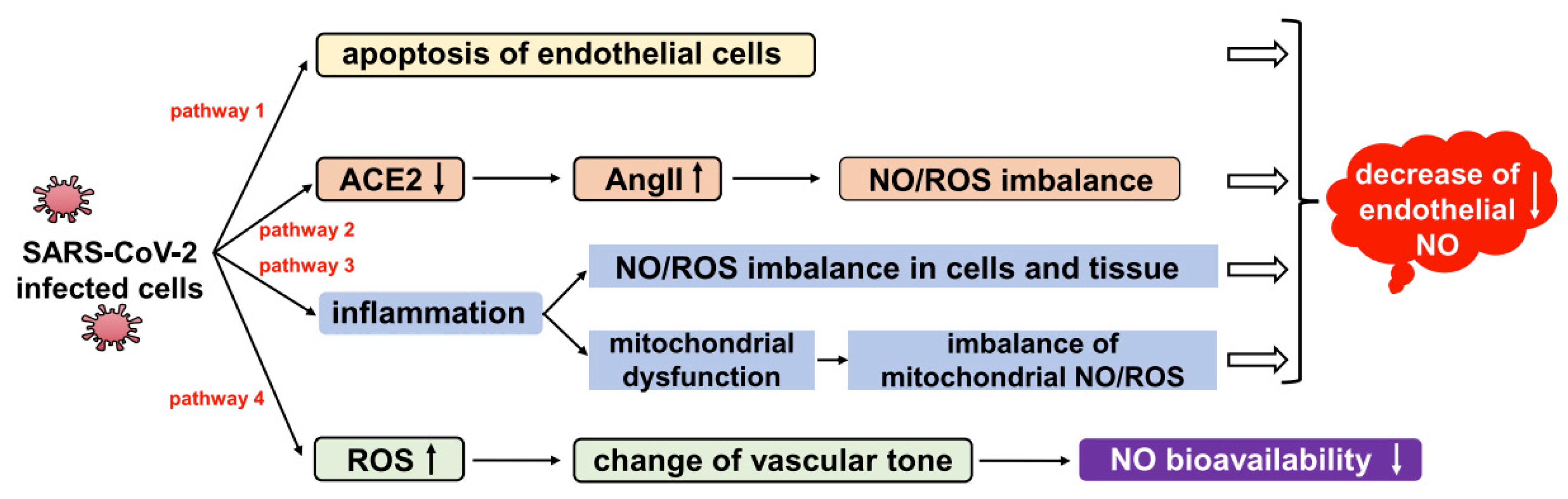 Preprints 100451 g002