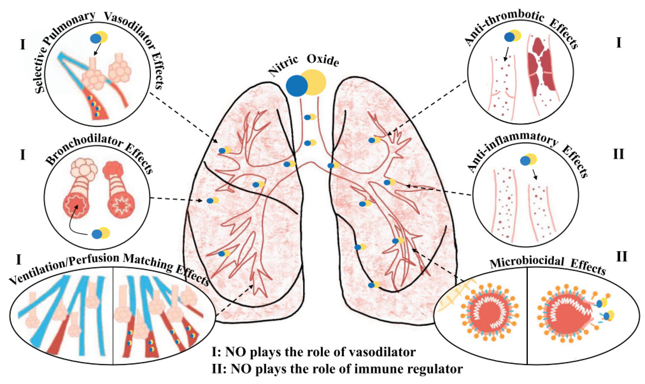 Preprints 100451 g003