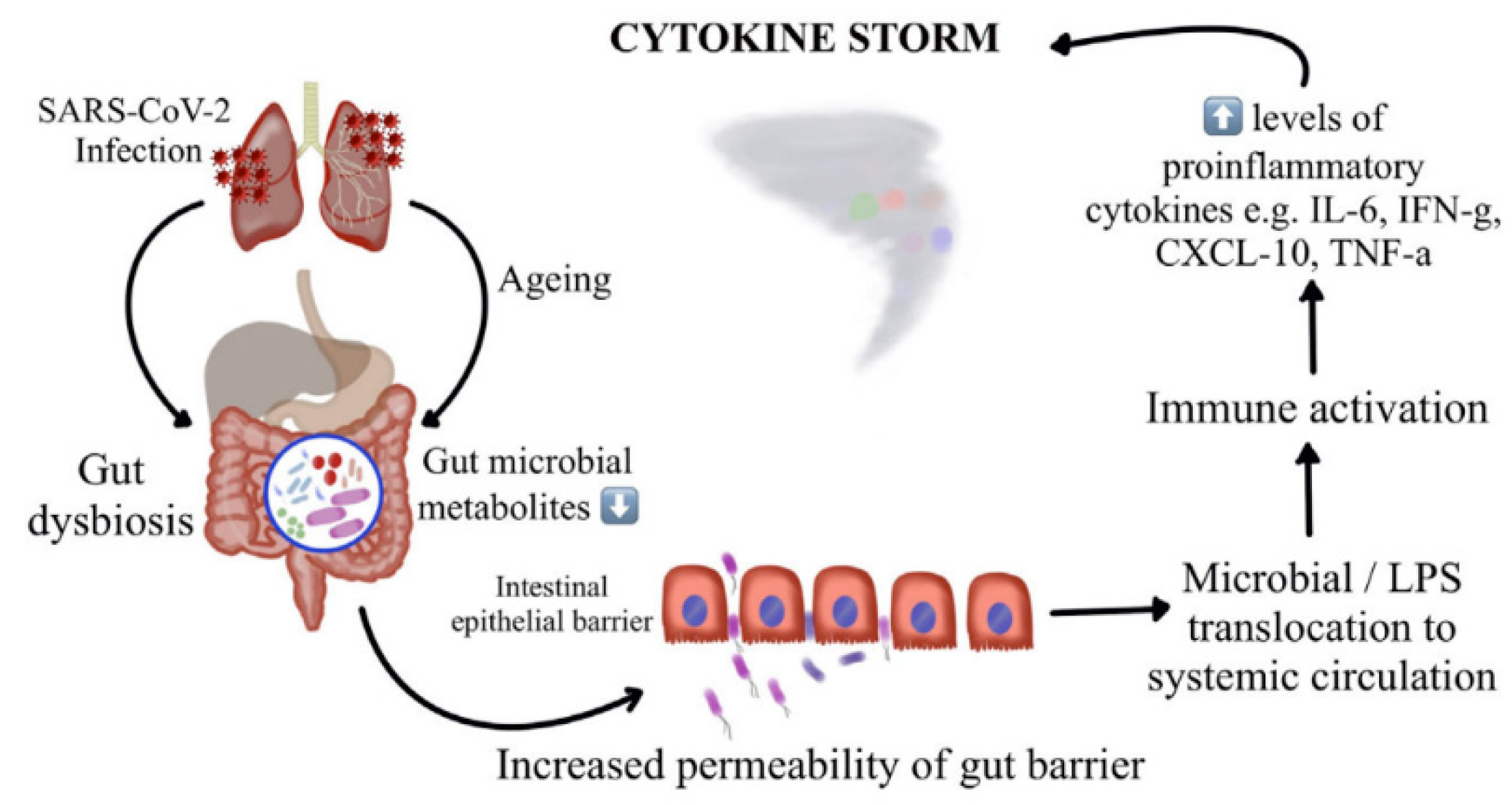 Preprints 100451 g004