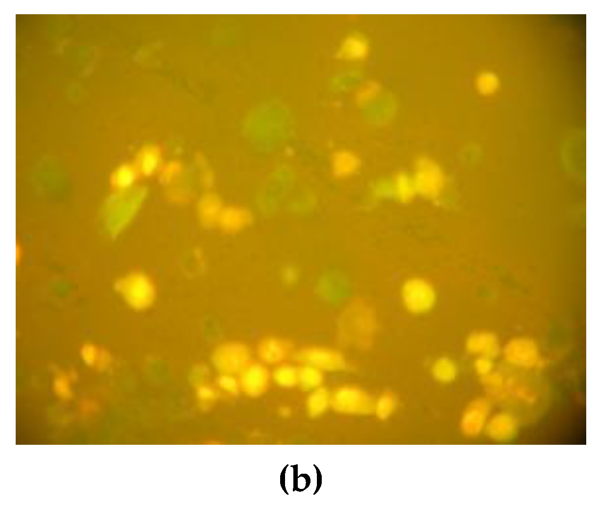 Preprints 209388 g006b