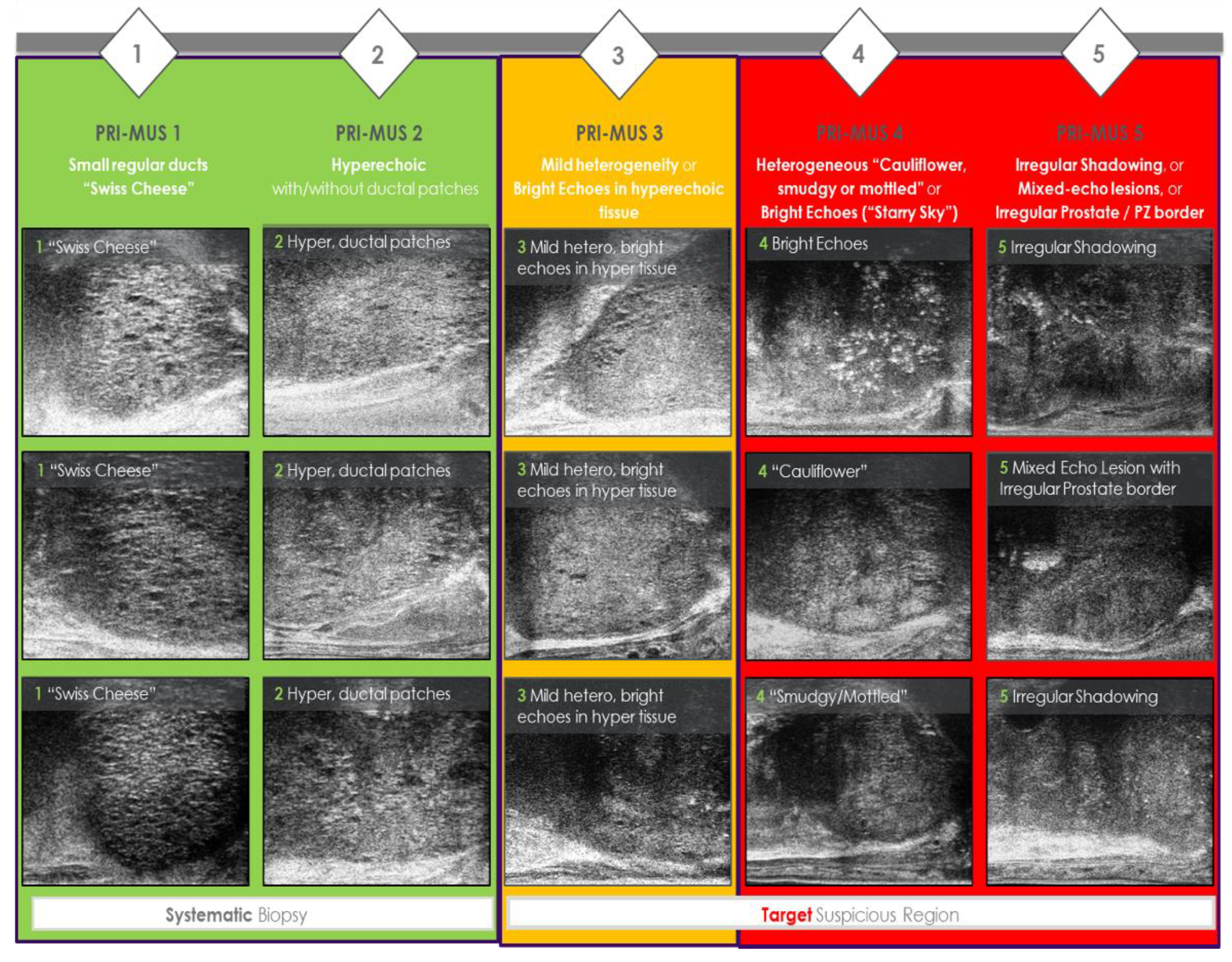 Preprints 149311 g002