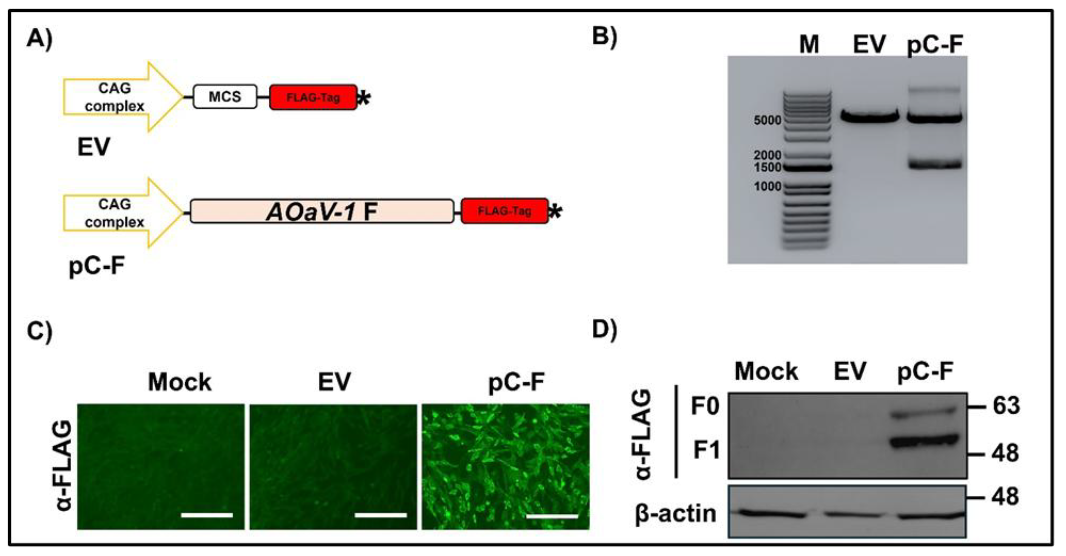 Preprints 198889 g001