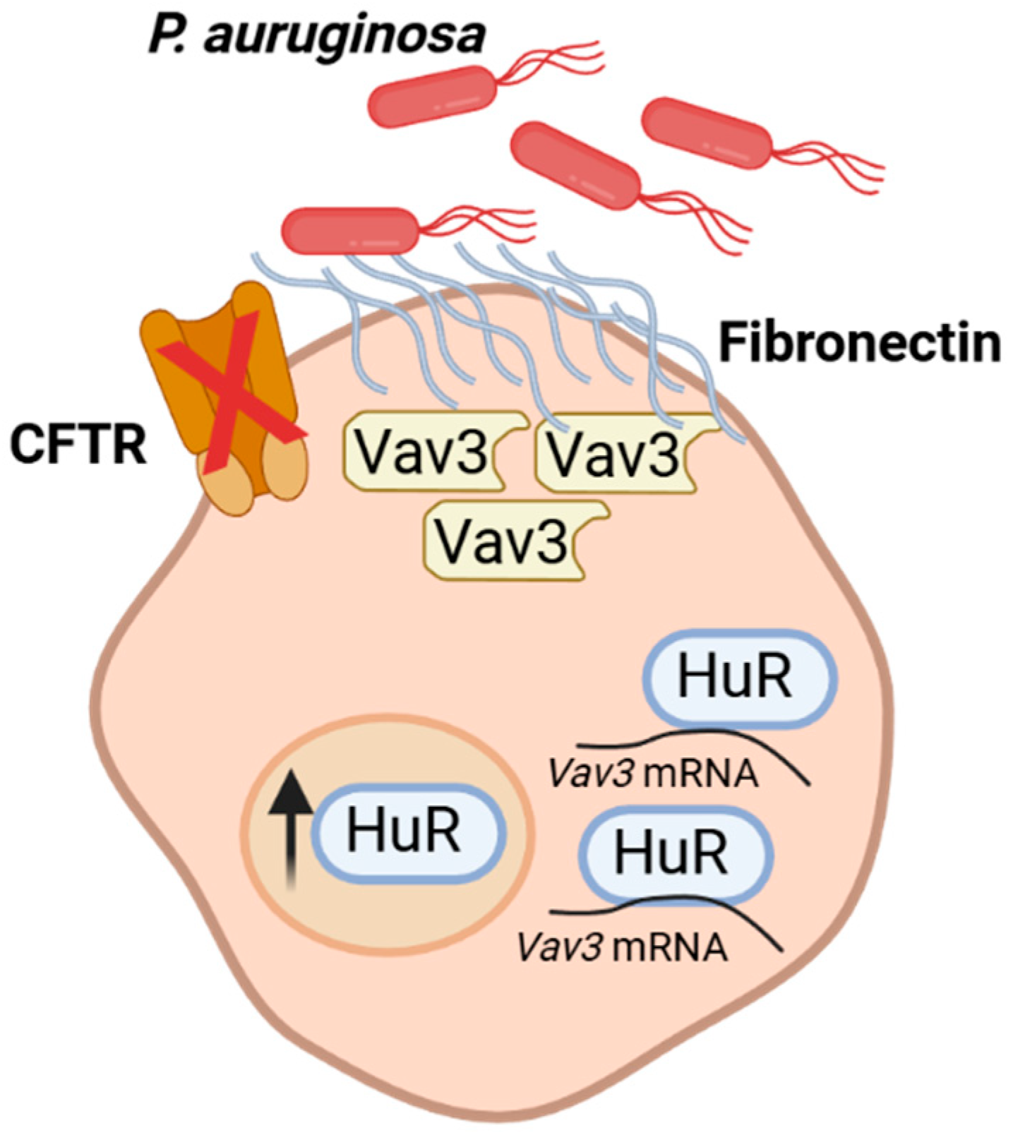 Preprints 185871 g001