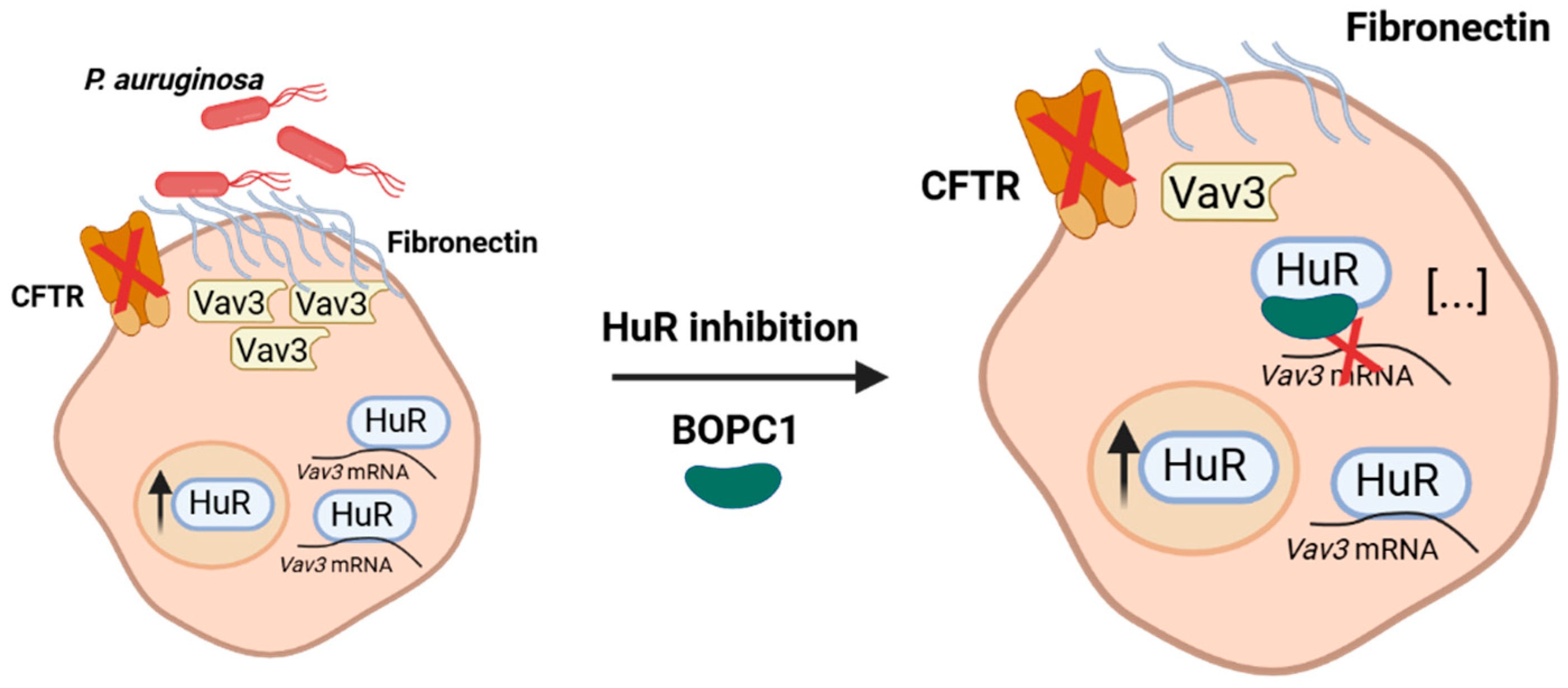 Preprints 185871 g003
