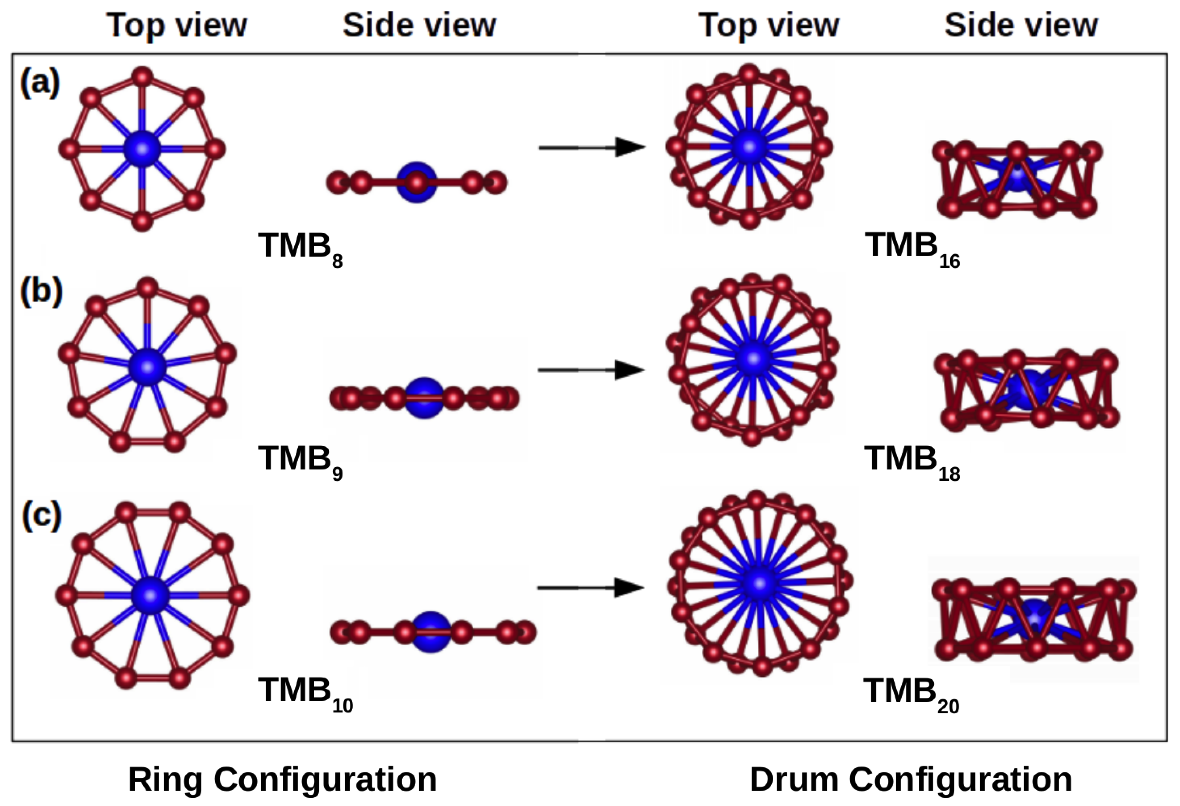 Preprints 143017 g001