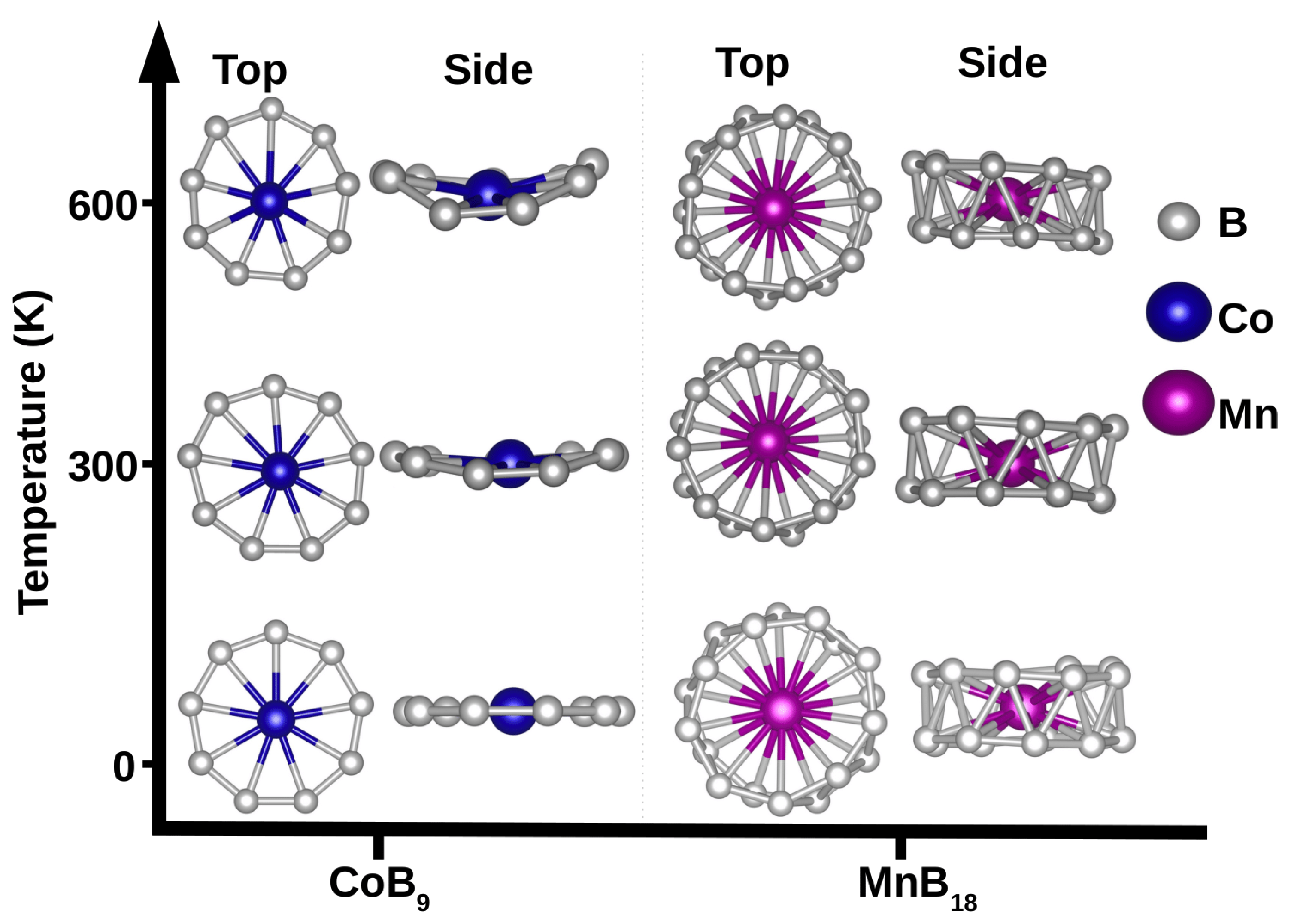 Preprints 143017 g002