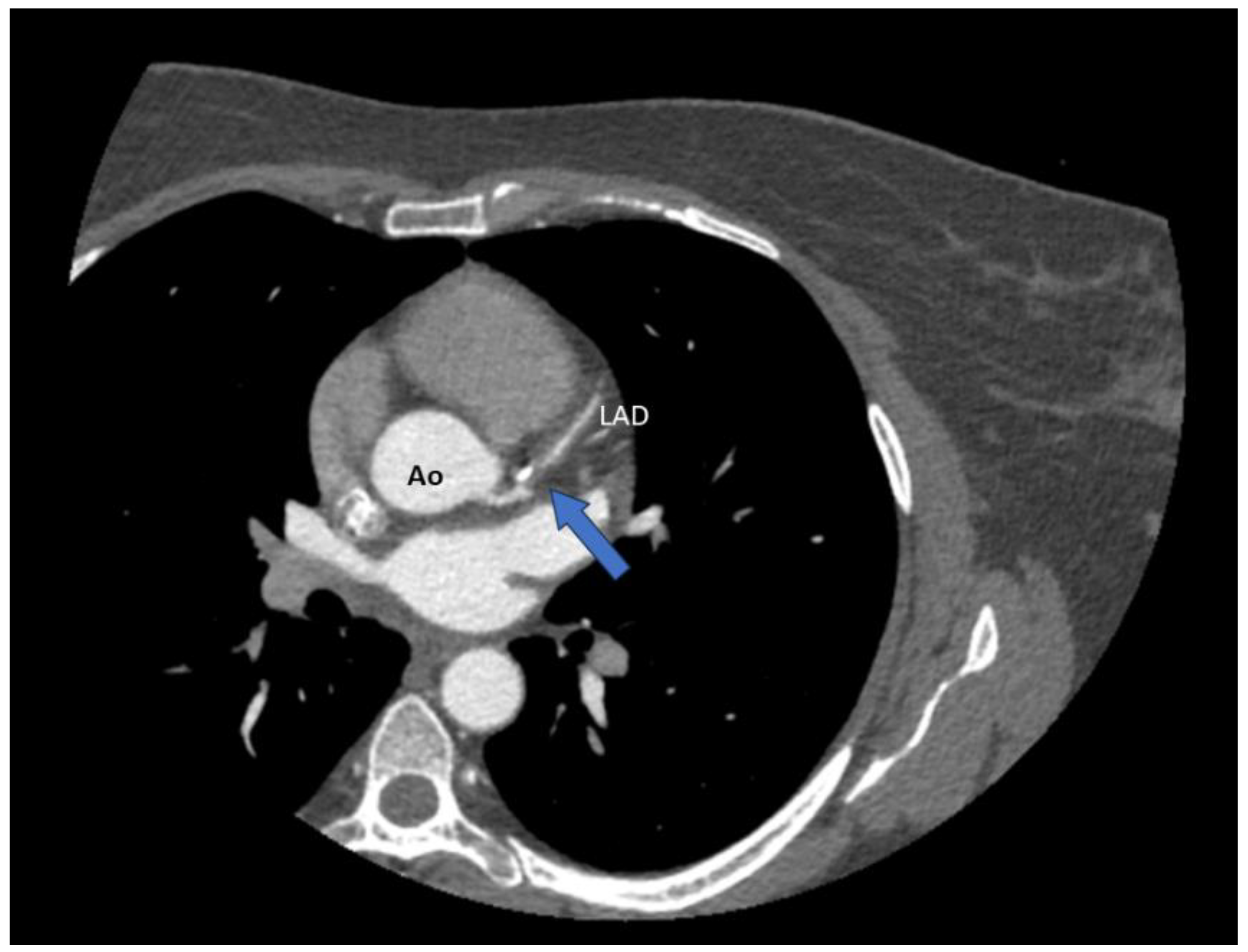 Preprints 141703 g002
