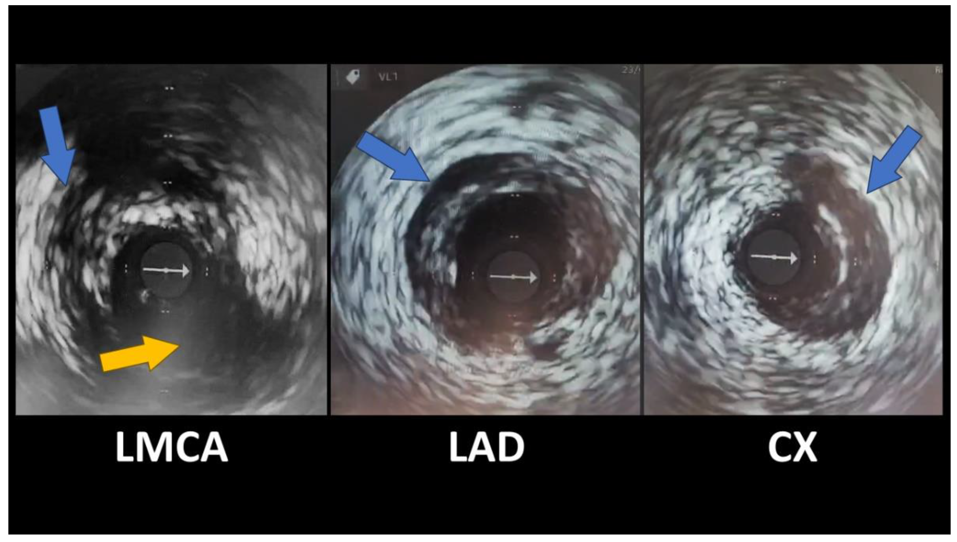Preprints 141703 g006