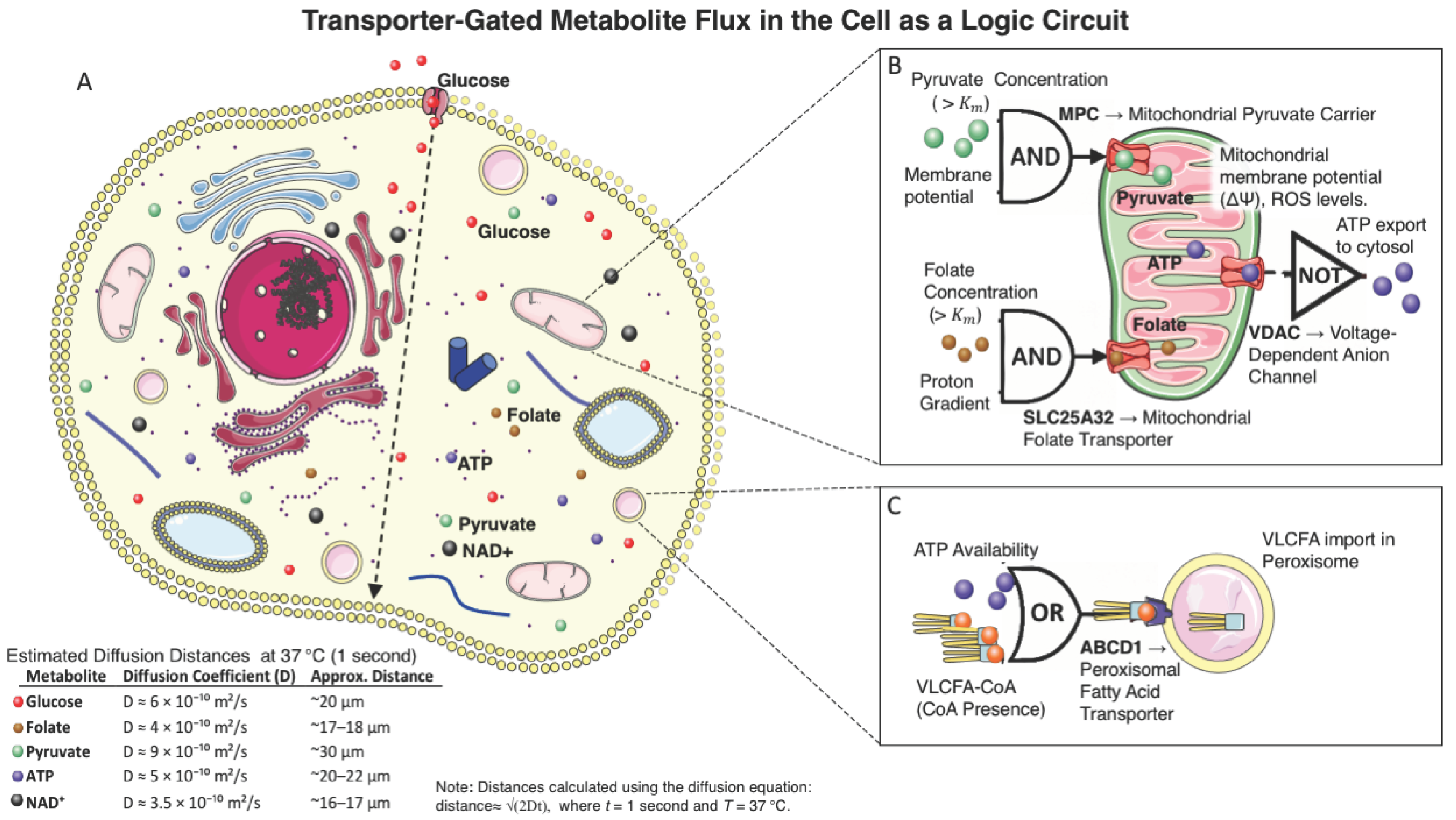 Preprints 160961 g001