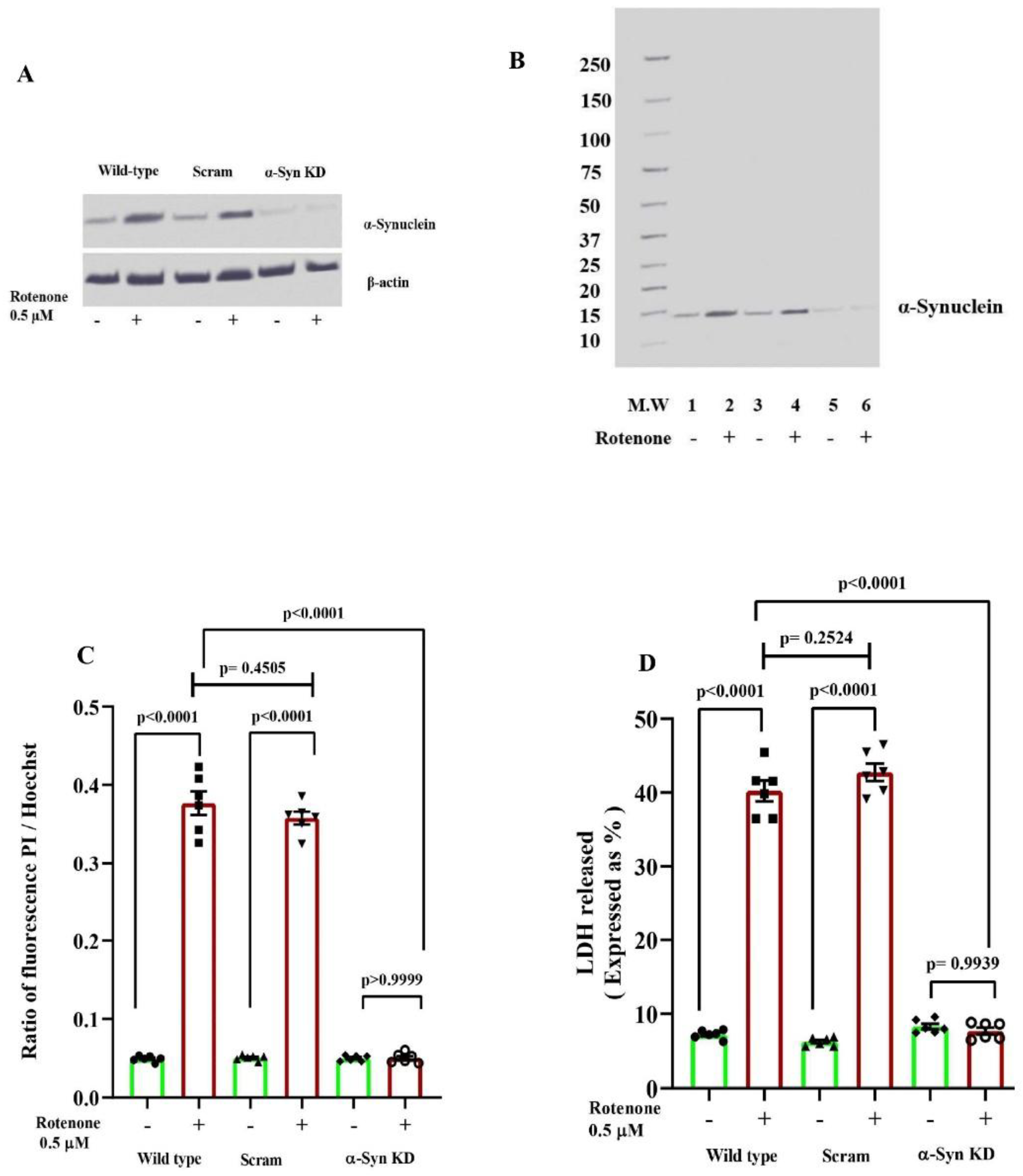 Preprints 164573 g001
