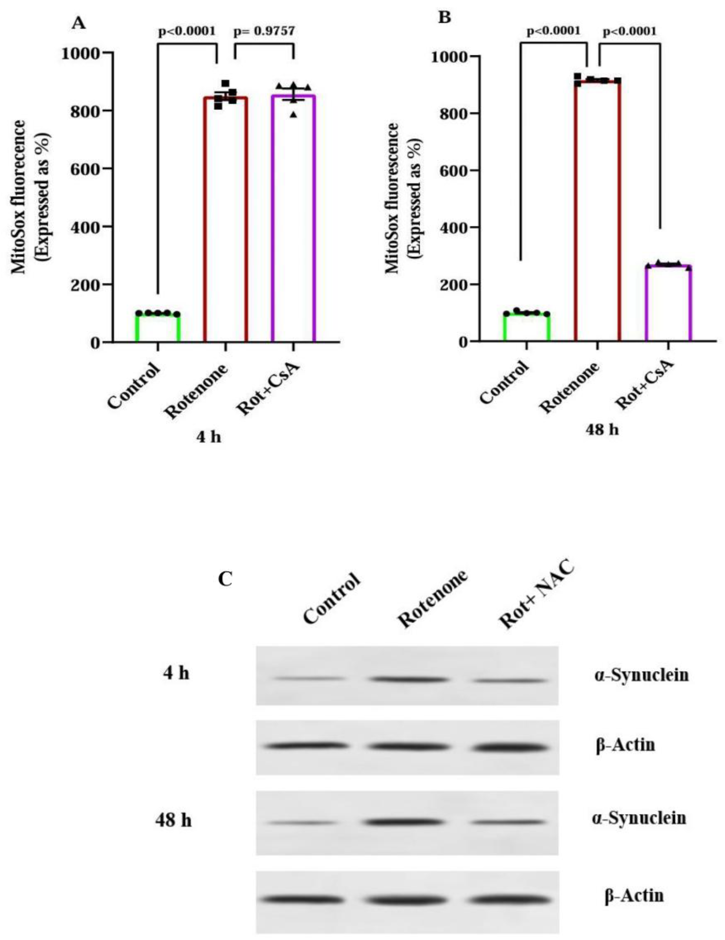 Preprints 164573 g004