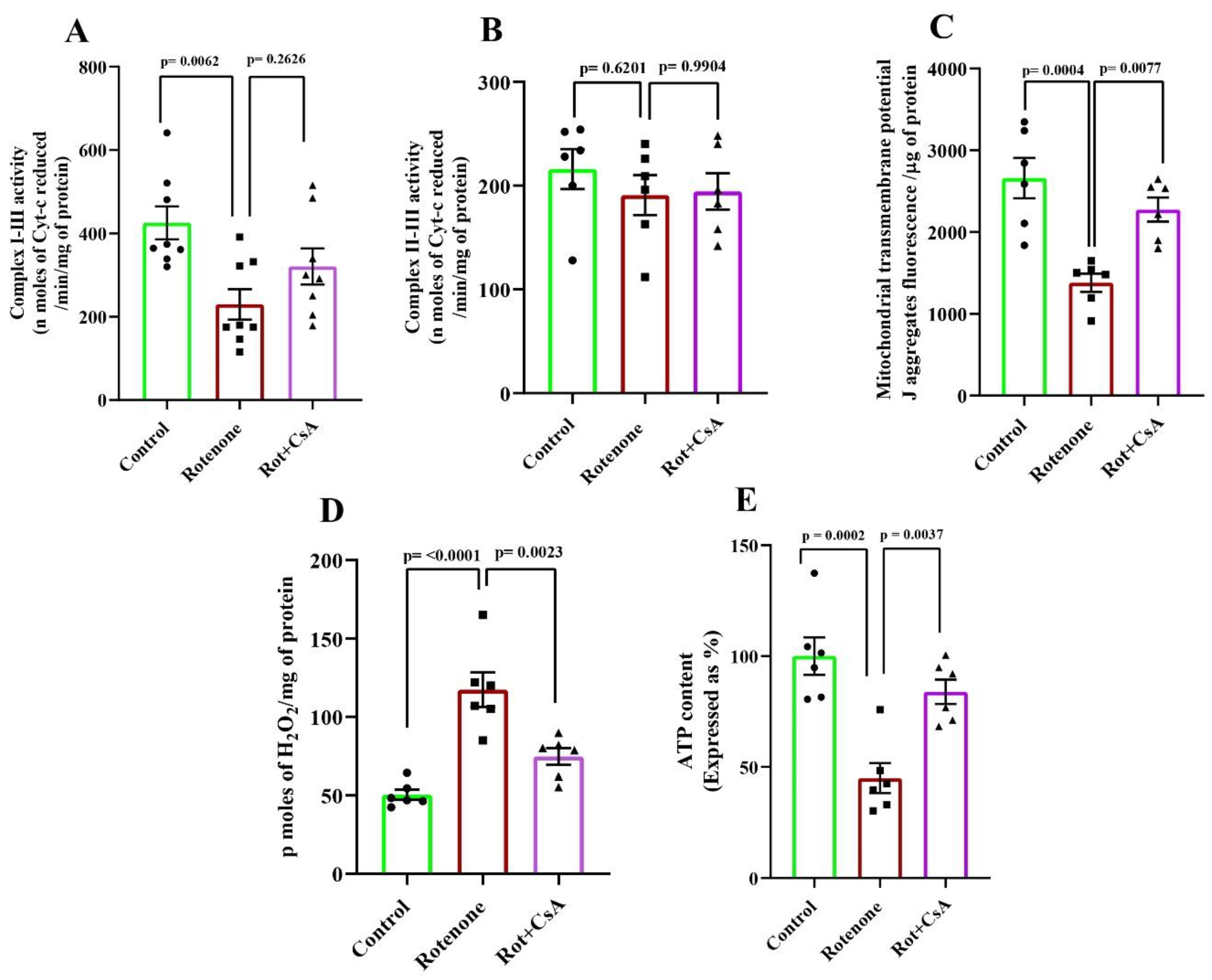 Preprints 164573 g005