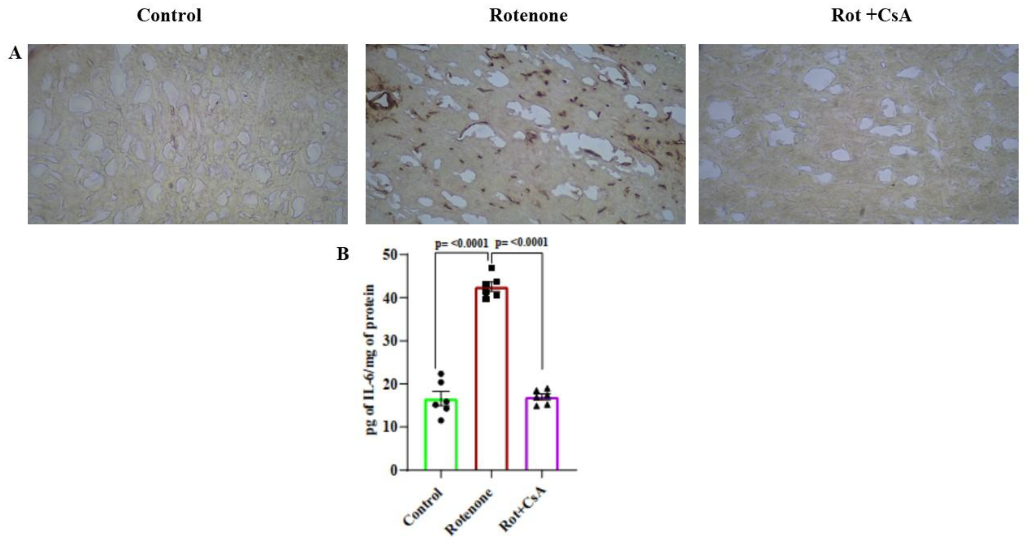 Preprints 164573 g007