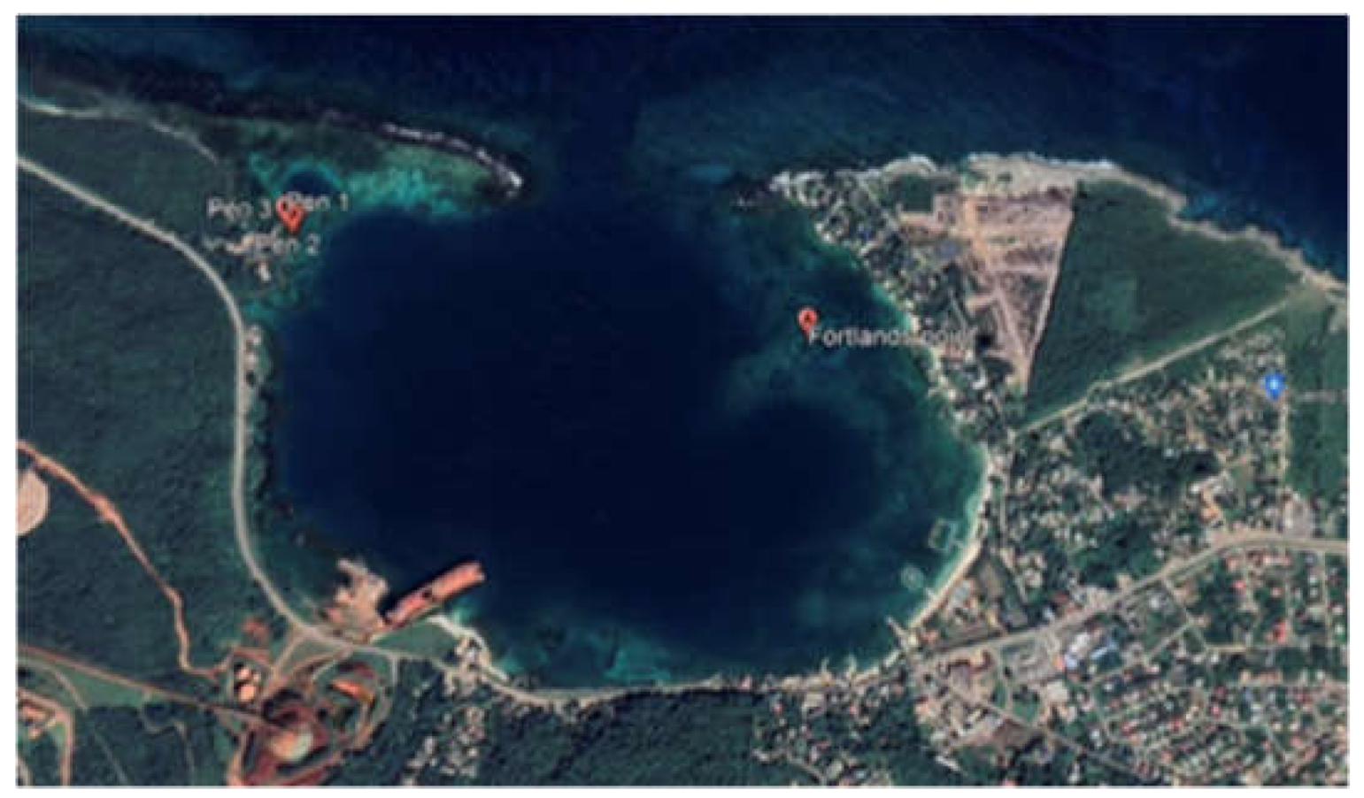 Preprints 199389 g001