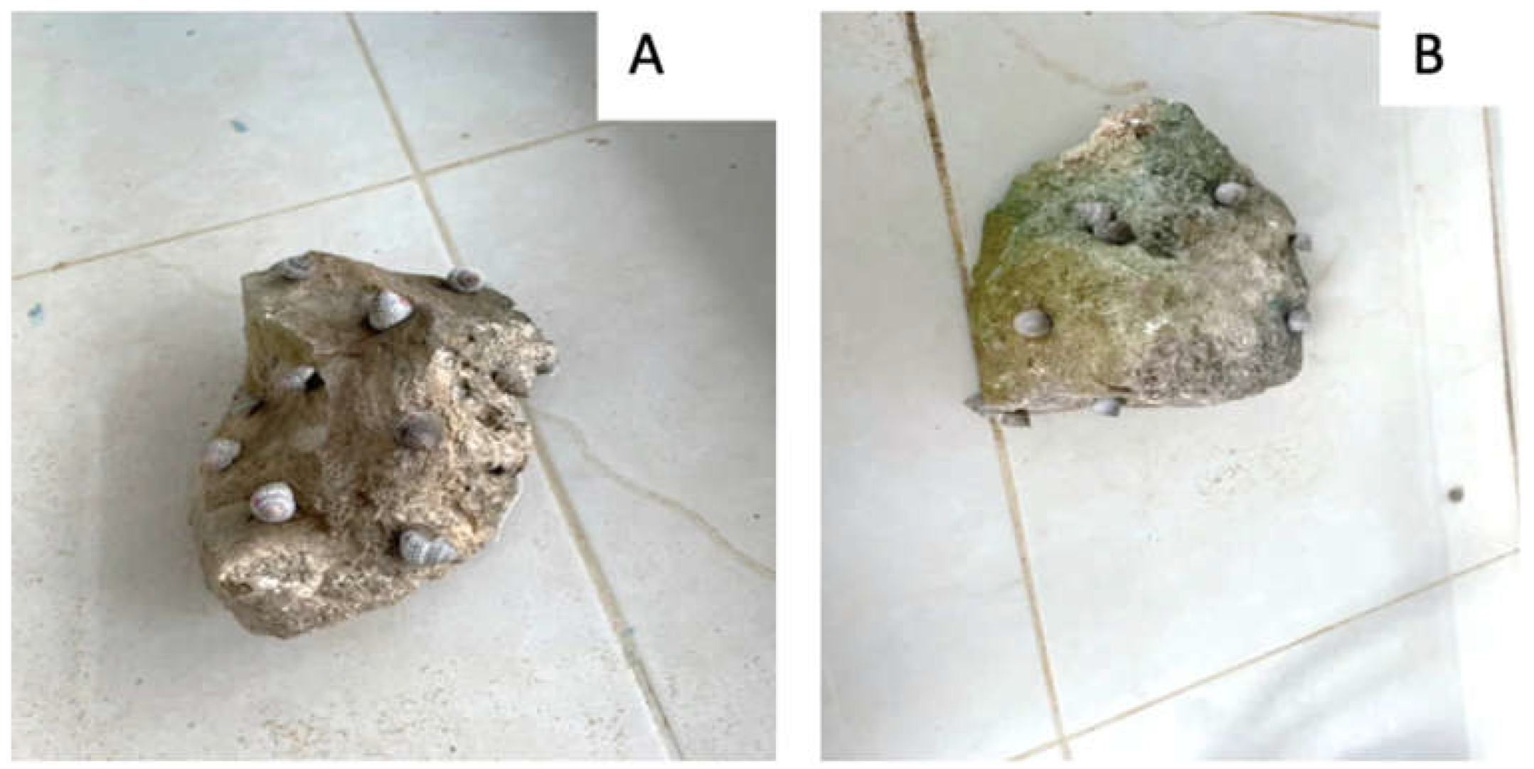 Preprints 199389 g003