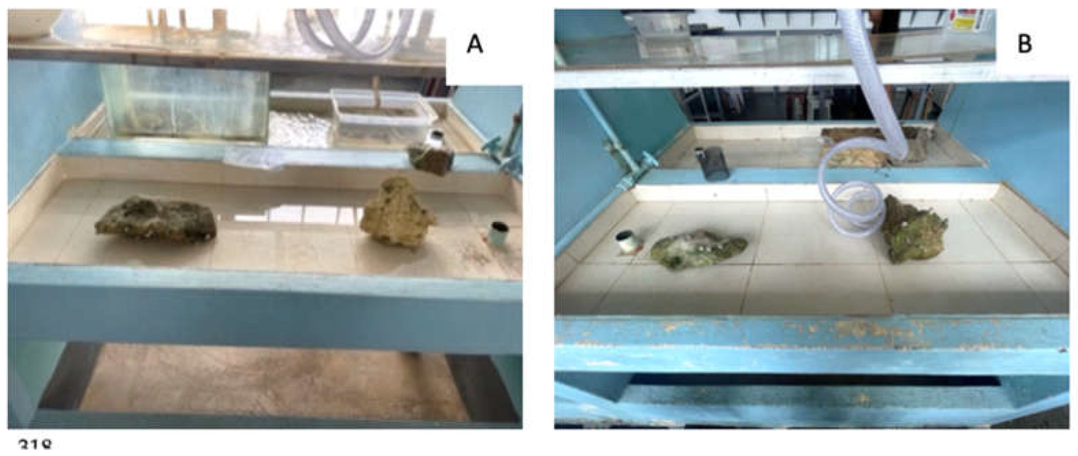 Preprints 199389 g0a1
