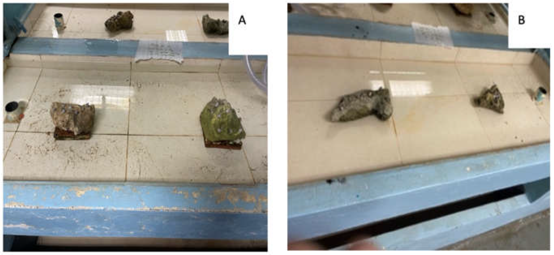 Preprints 199389 g0a3