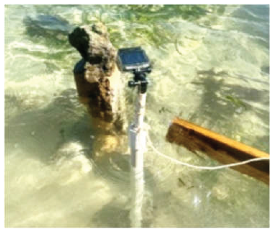 Preprints 199389 g0a4