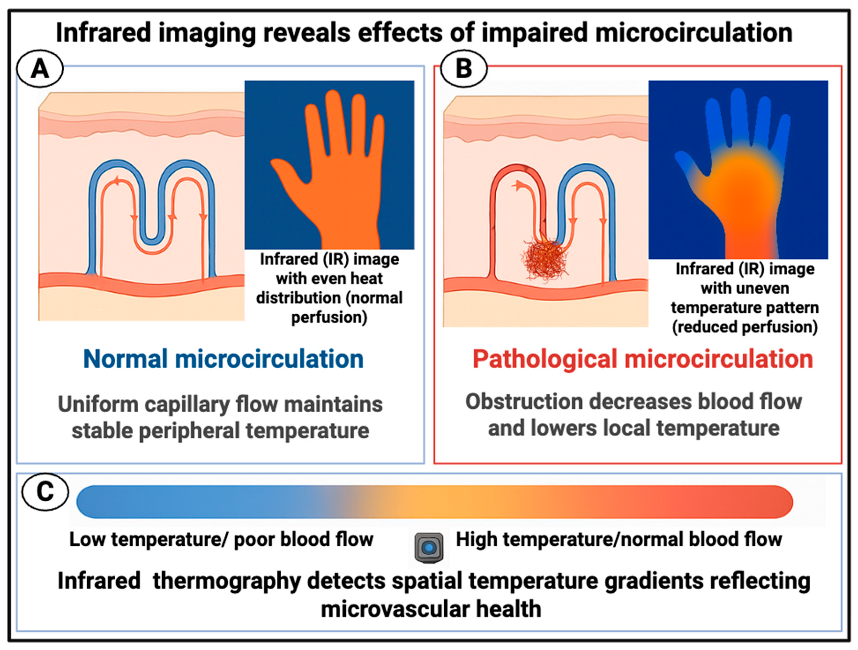 Preprints 181171 g001
