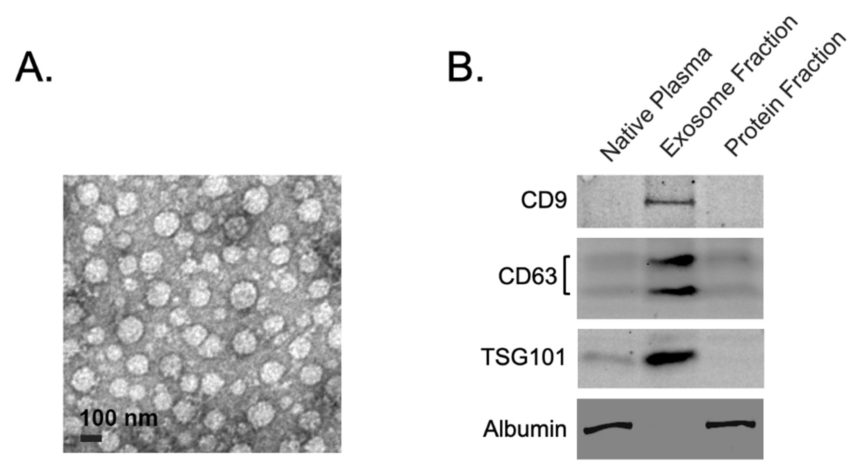 Preprints 197760 g001