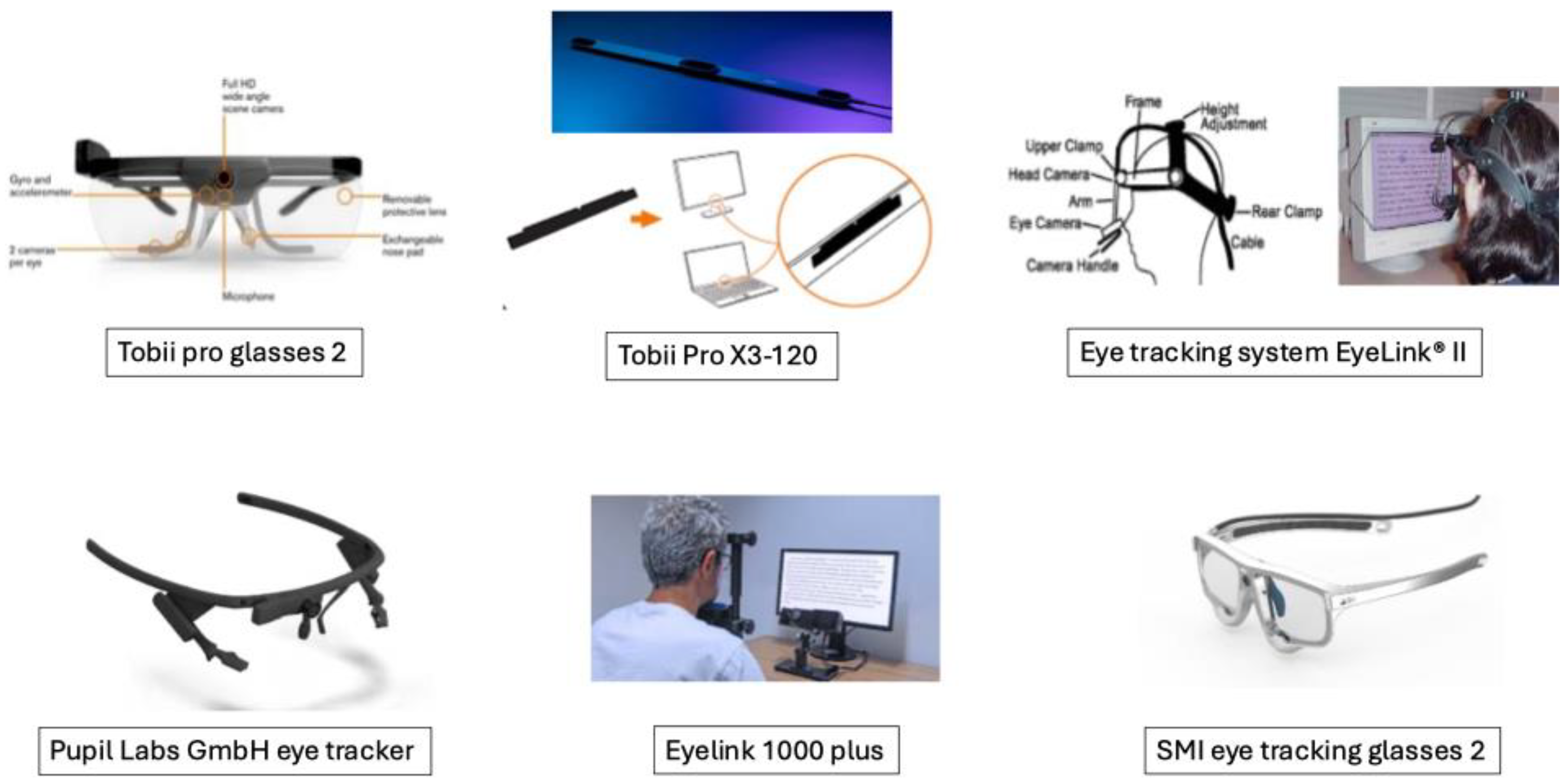 Preprints 153828 g001