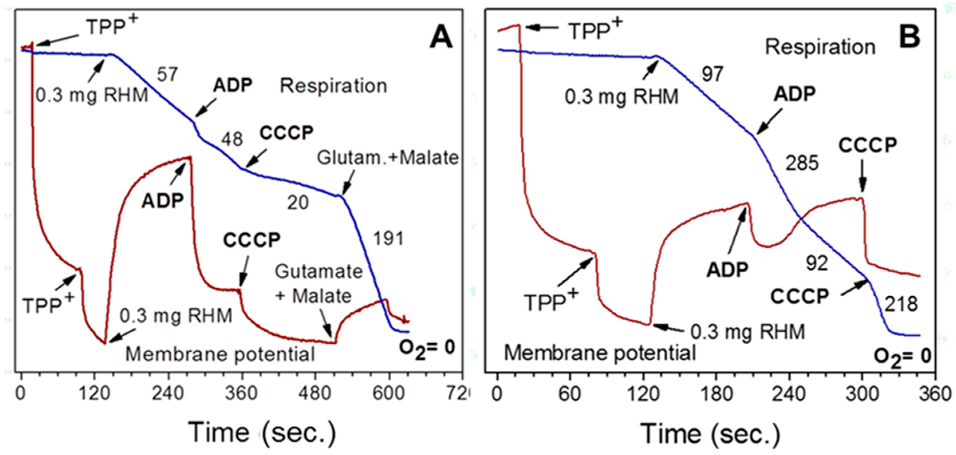 Preprints 137591 g002