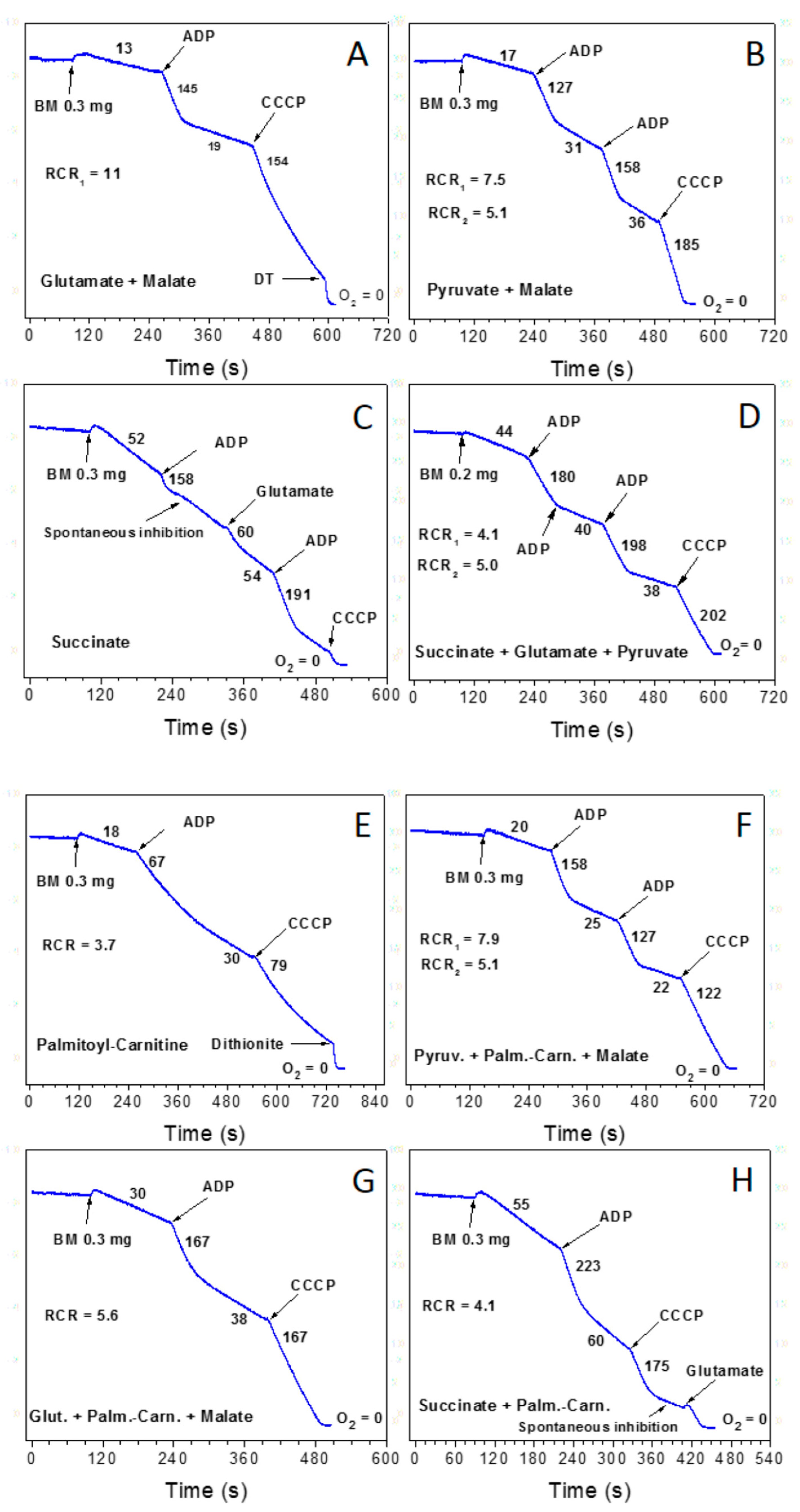 Preprints 137591 g003