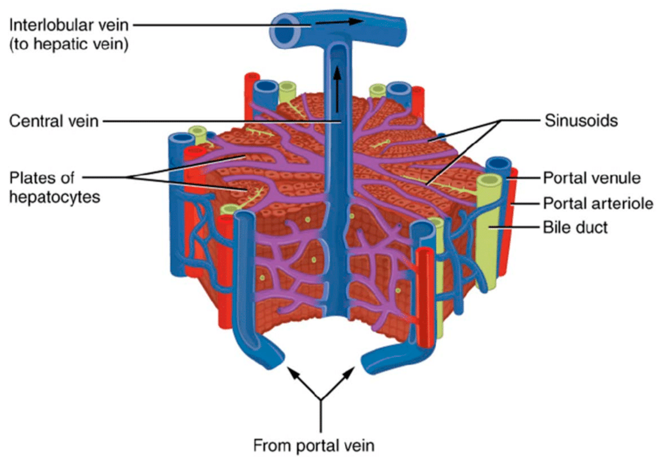 Preprints 137591 g004