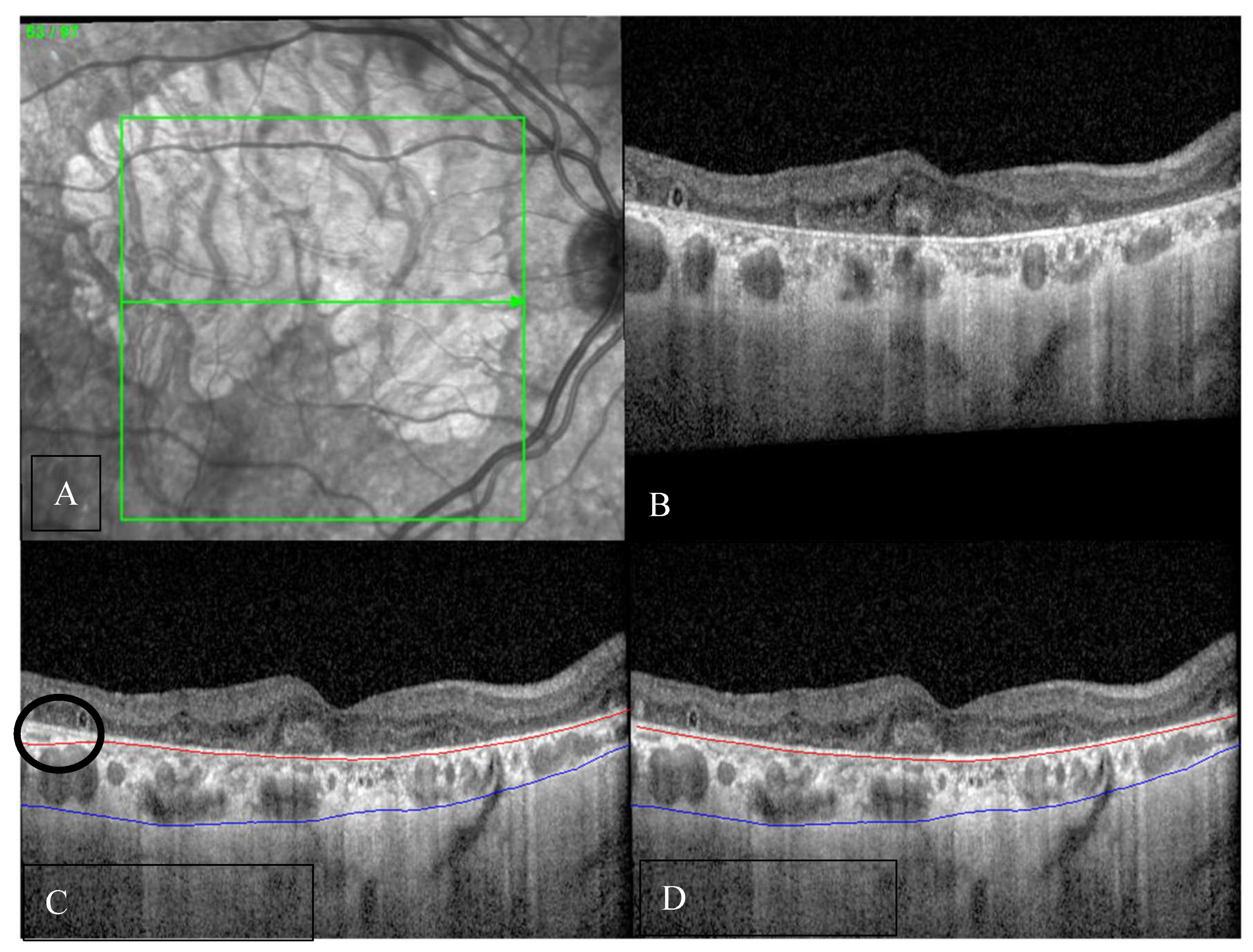Preprints 196561 g001