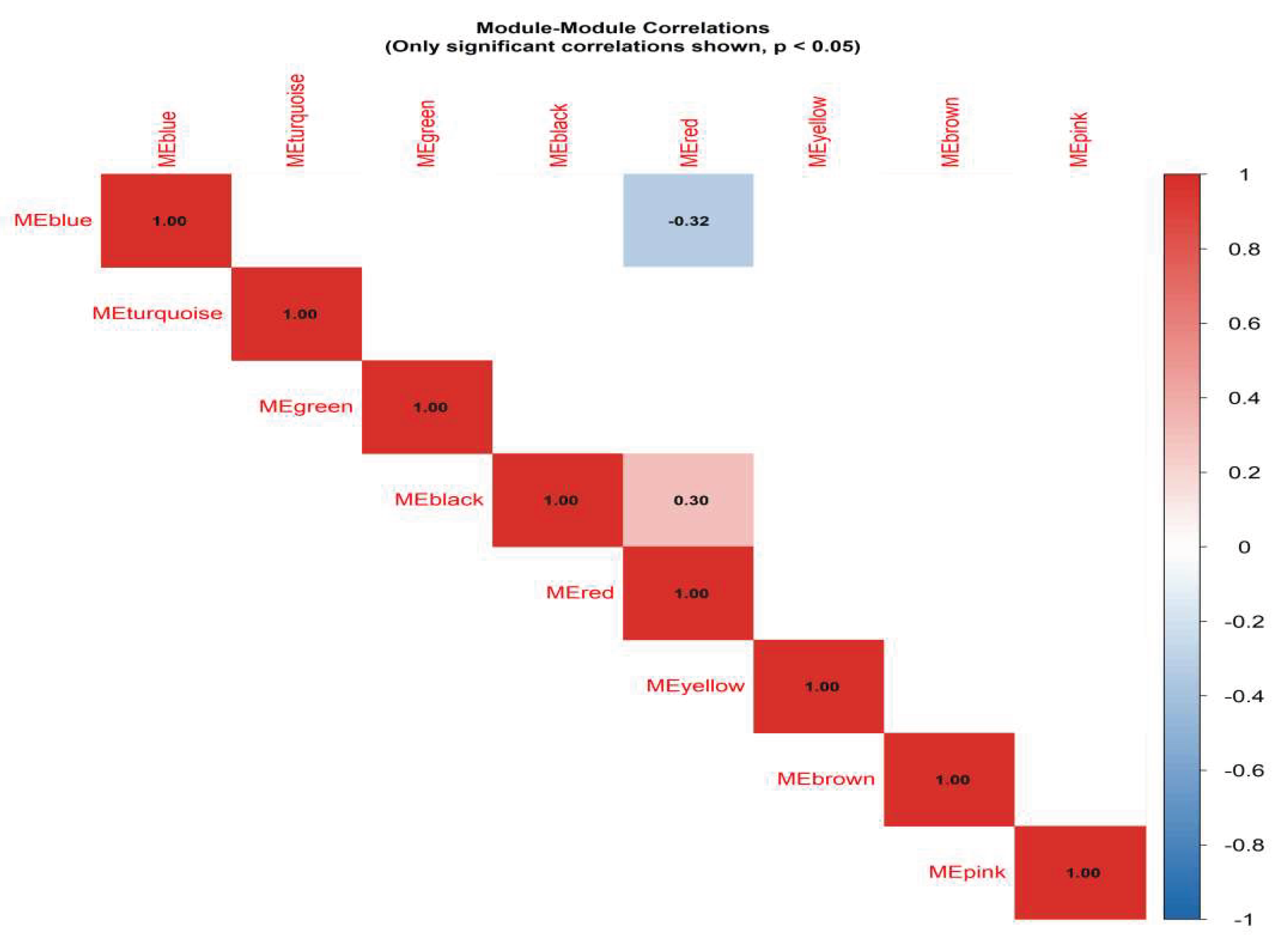 Preprints 188644 g004