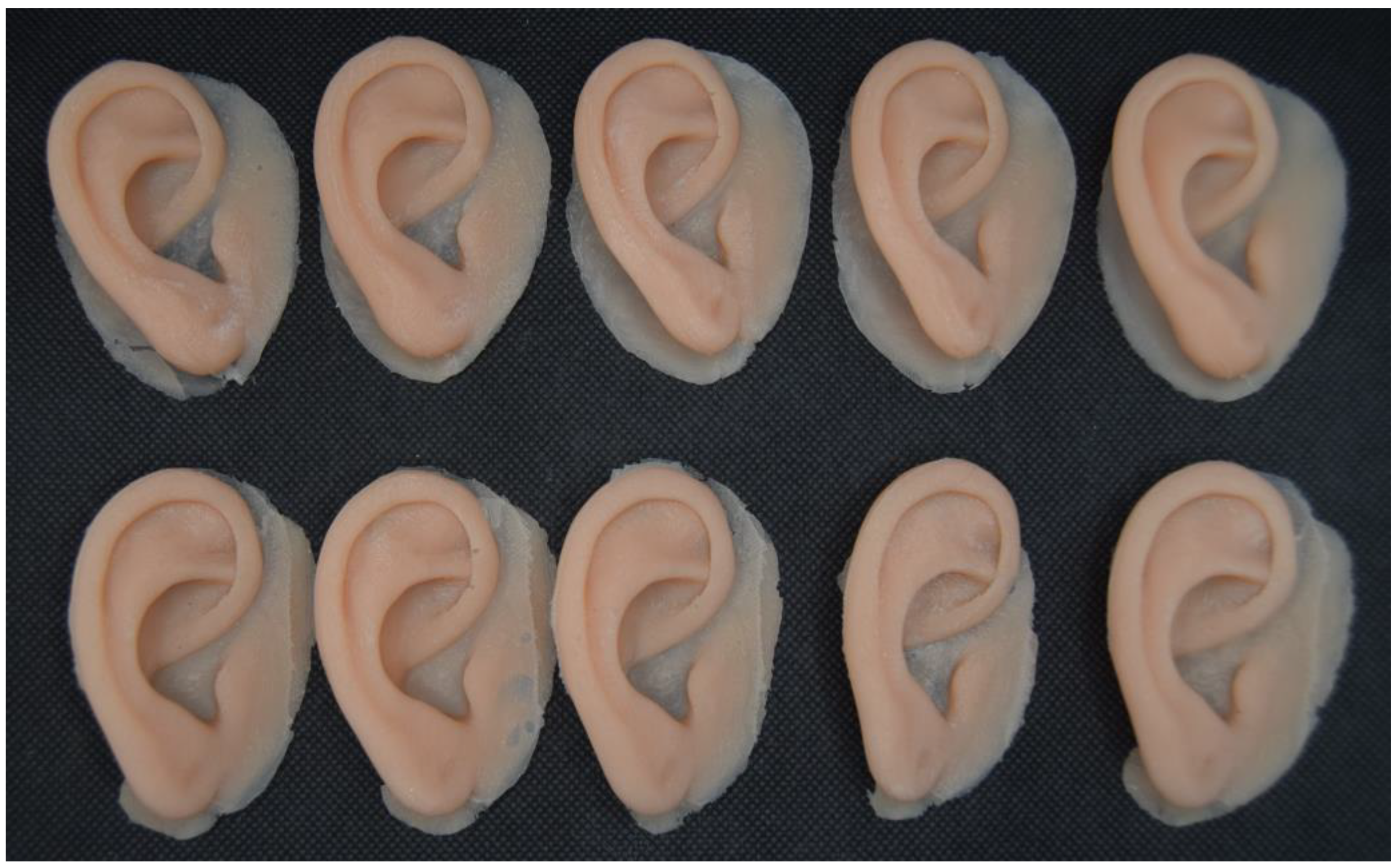 Preprints 171671 g016