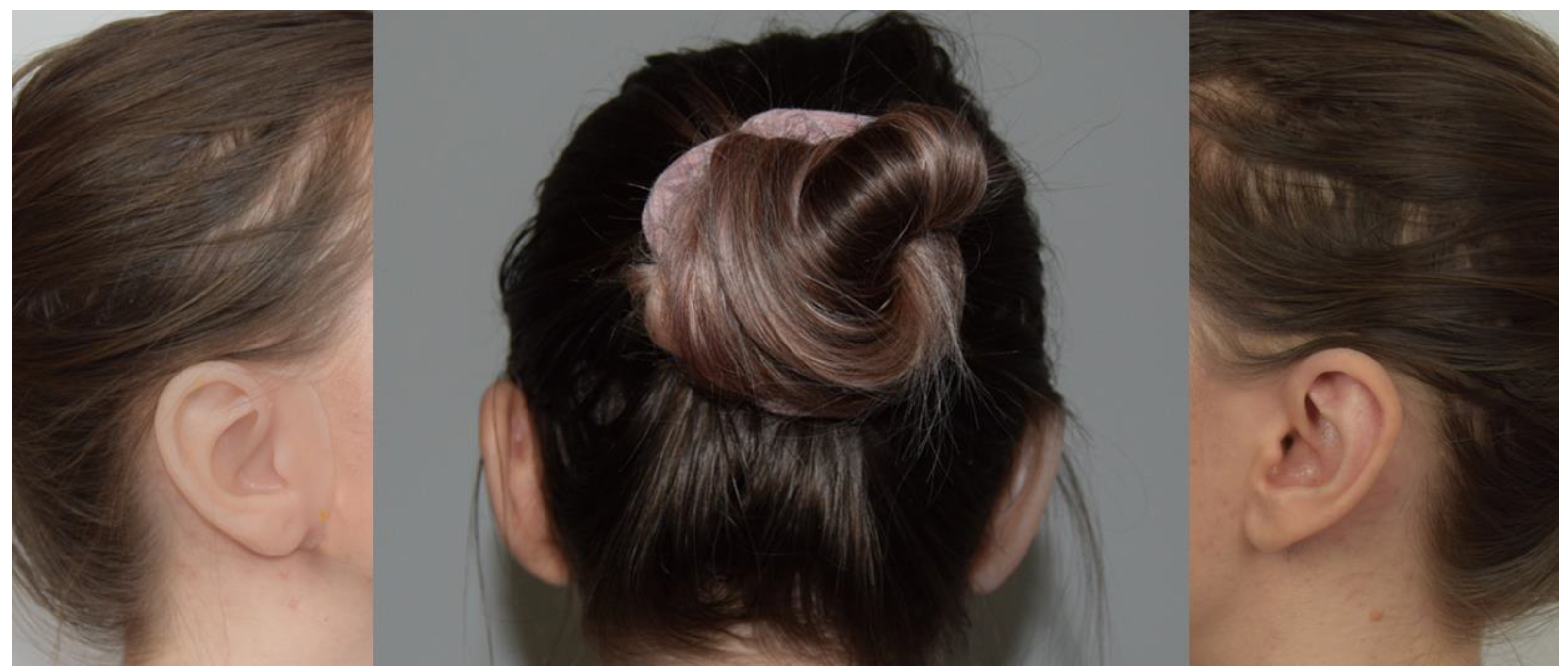 Preprints 171671 g020