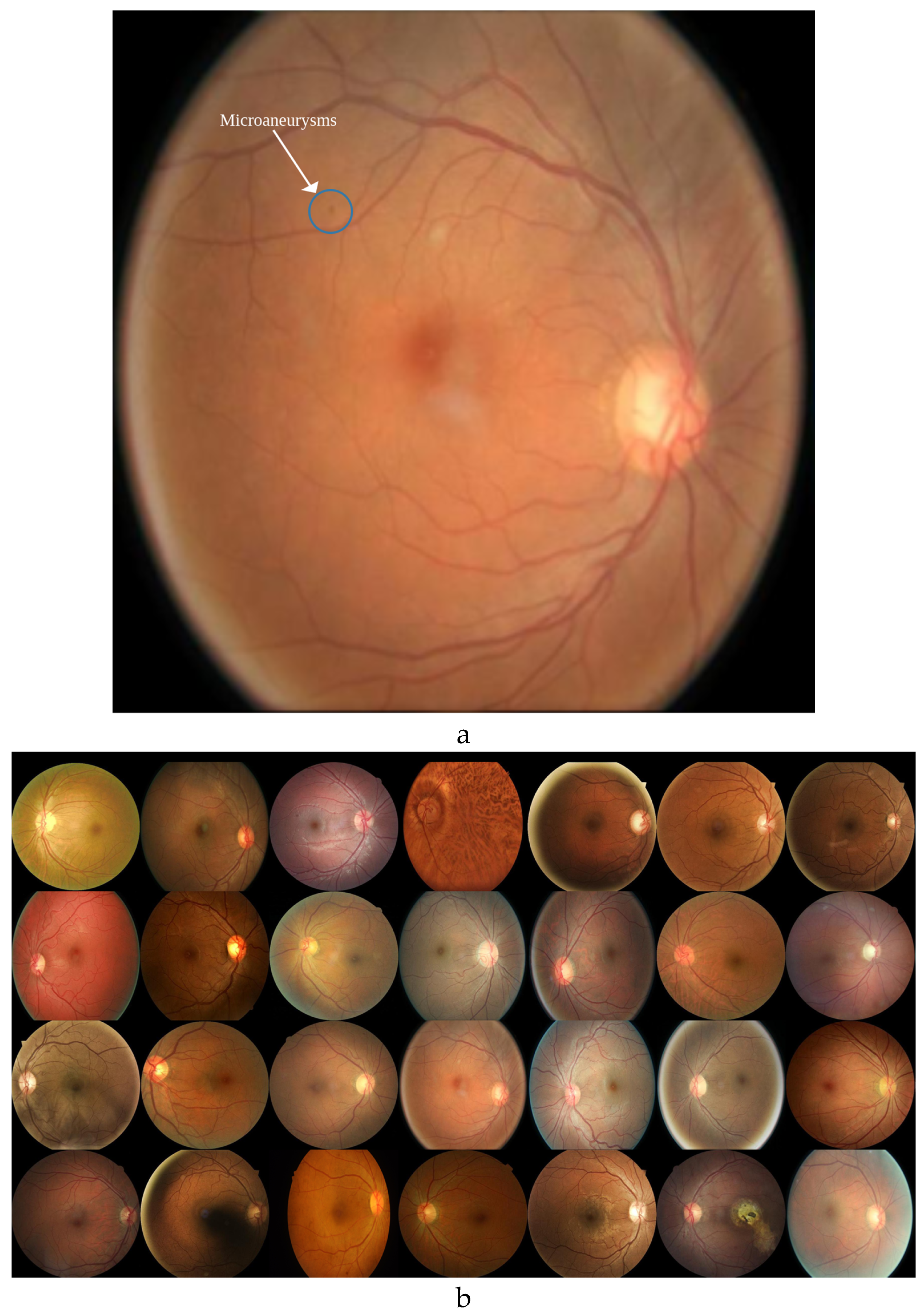 Preprints 144841 g003a