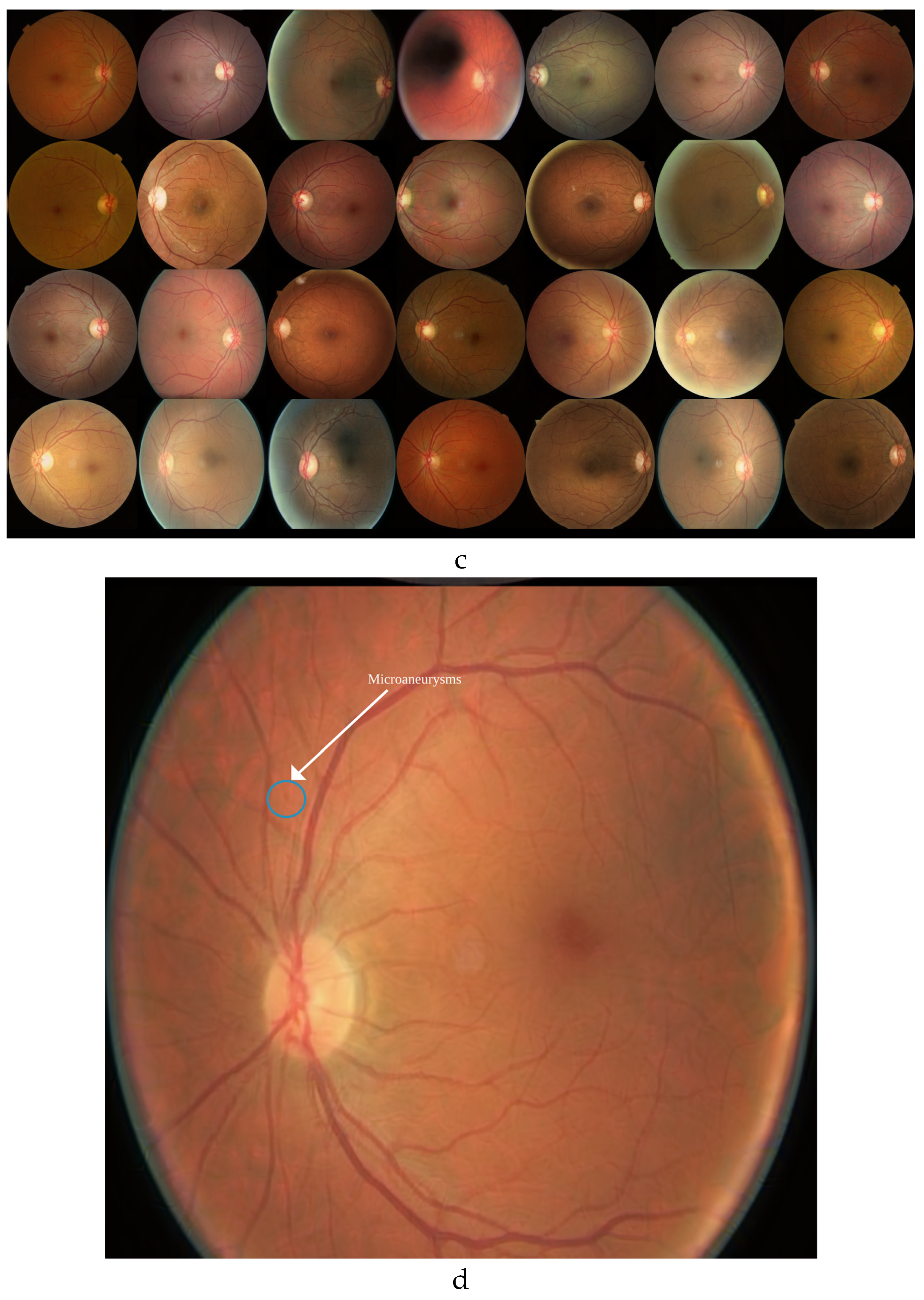 Preprints 144841 g003b